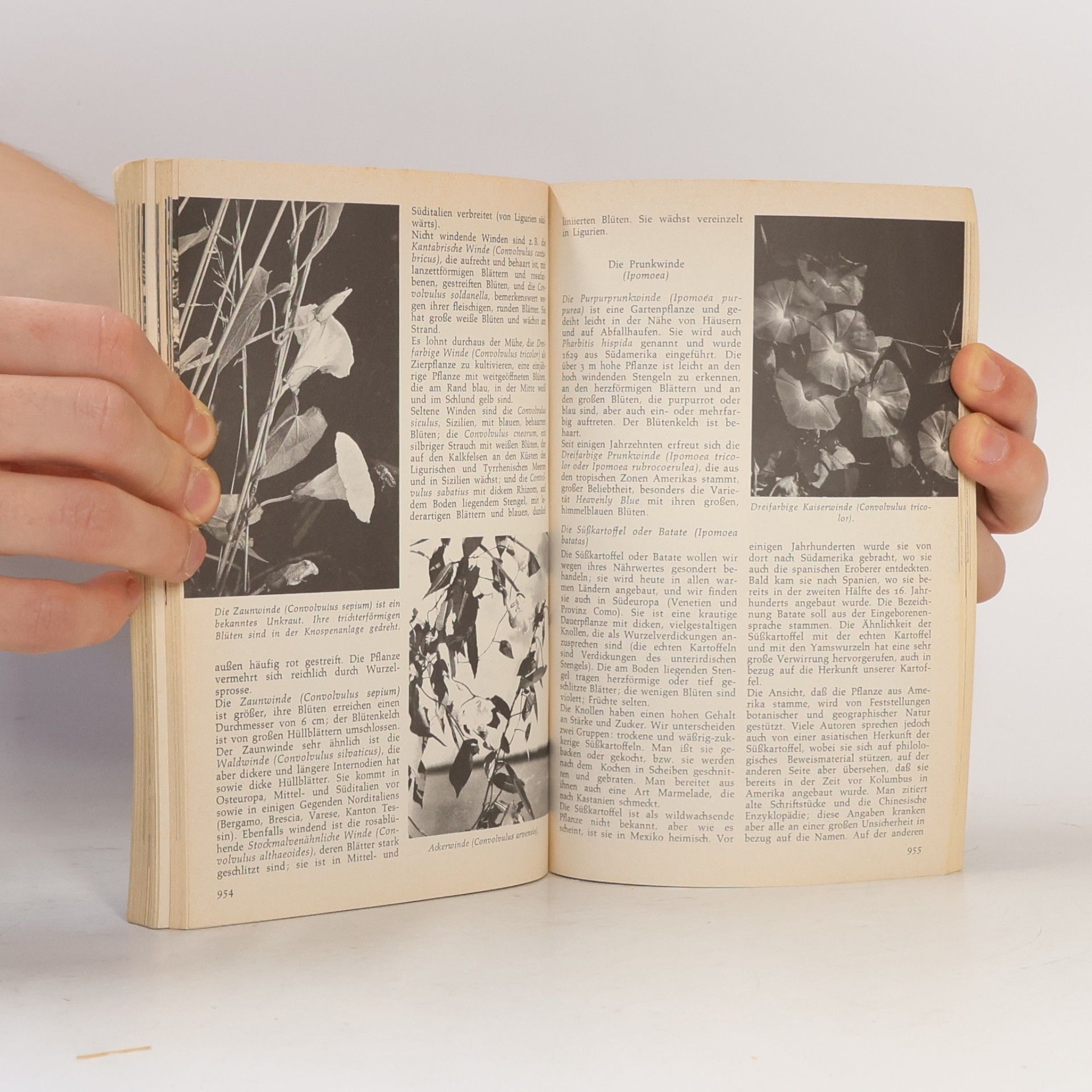 Various authors Rororo. Pflanzenlexikon 4