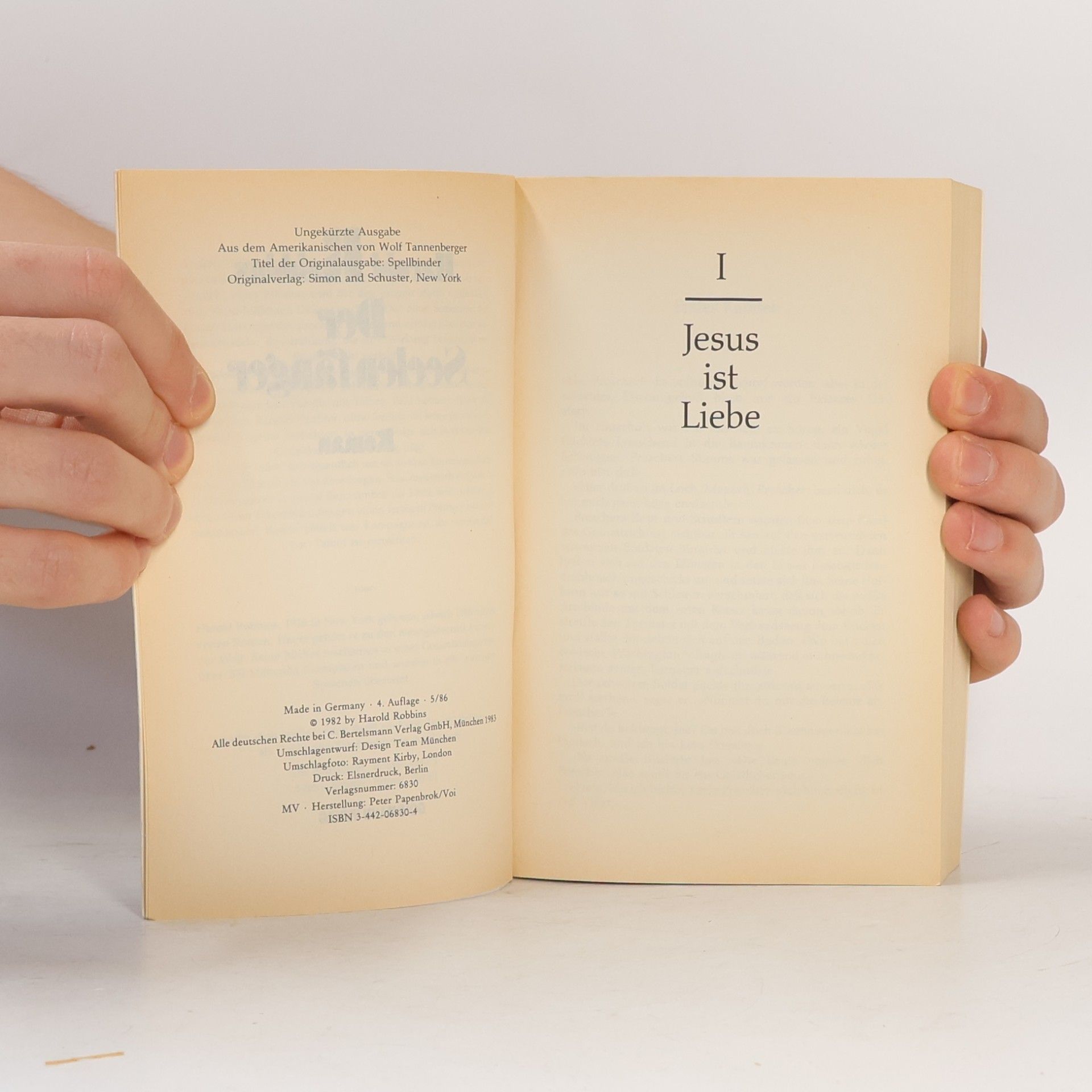 Harold Robbins Der Seelenfänger