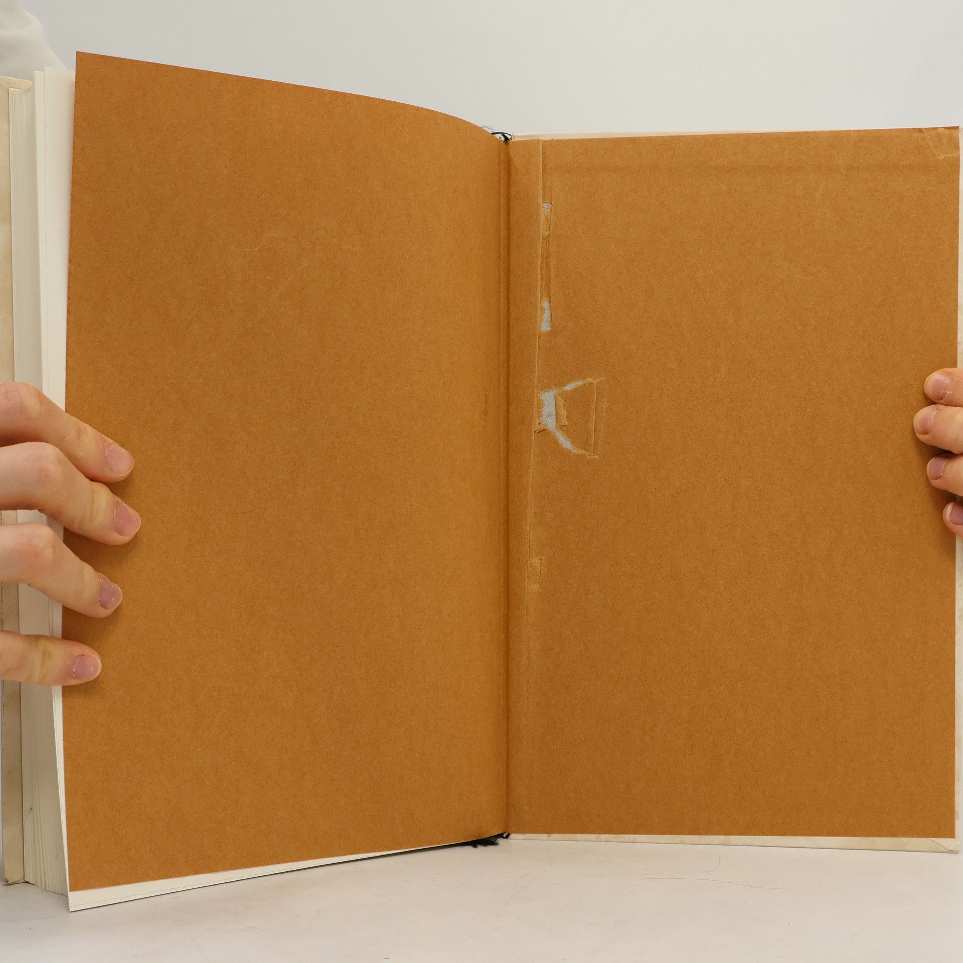 Michael Molnar Sigmund Freud, Tagebuch 1929 - 1939