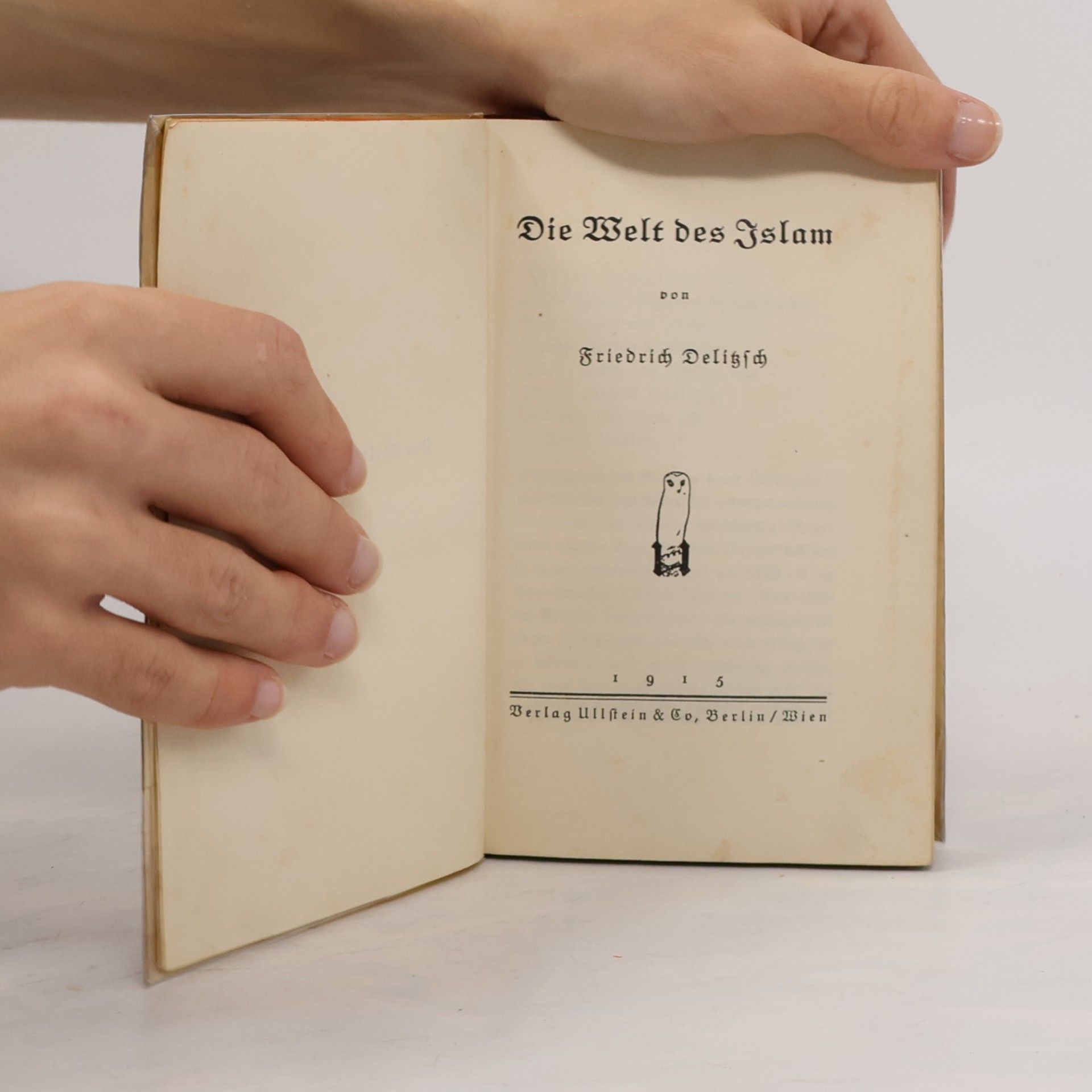 Friedrich Delitzsch Die Welt des Islam