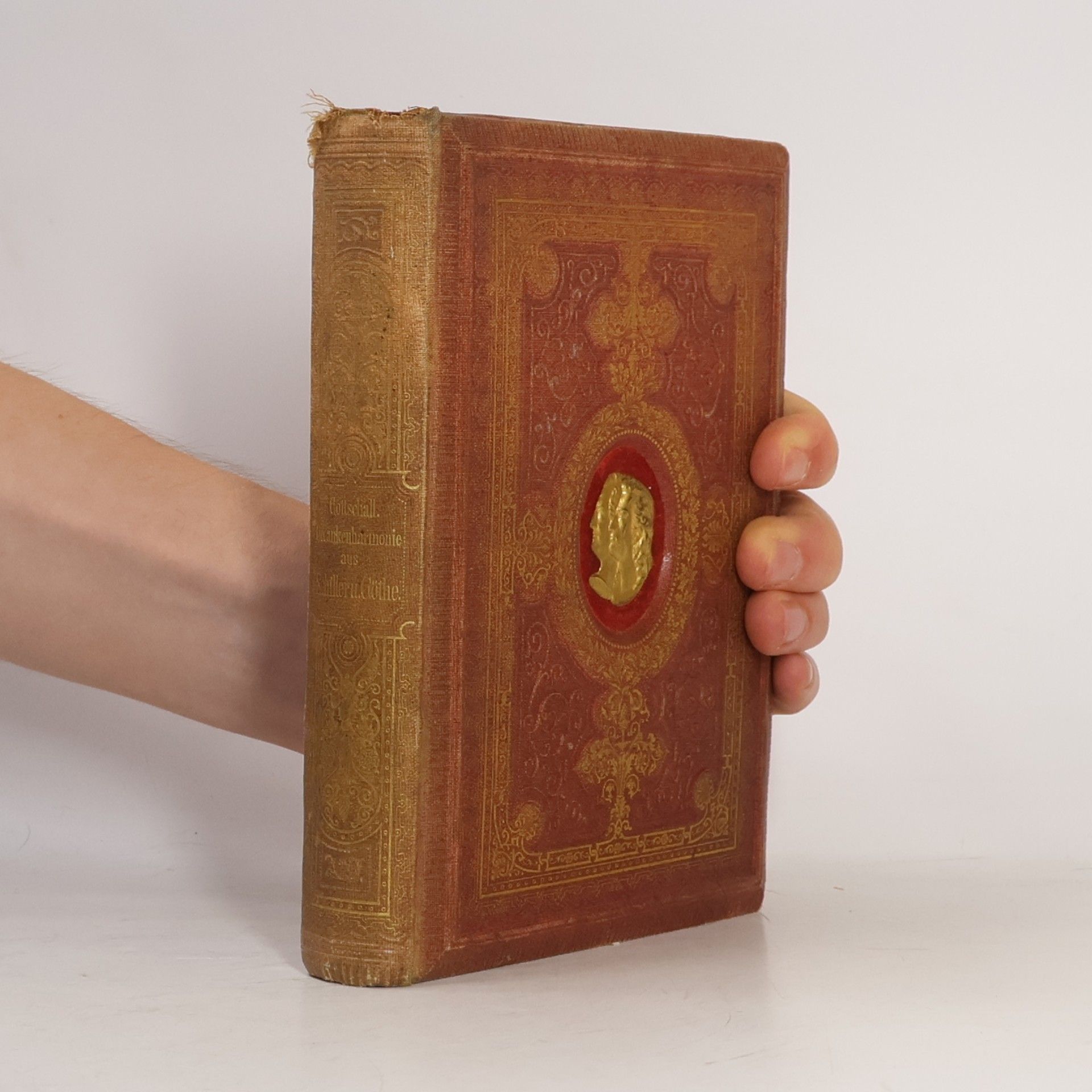Johann Wolfgang von Goethe Gedankenharmonie aus Goethe und Schiller