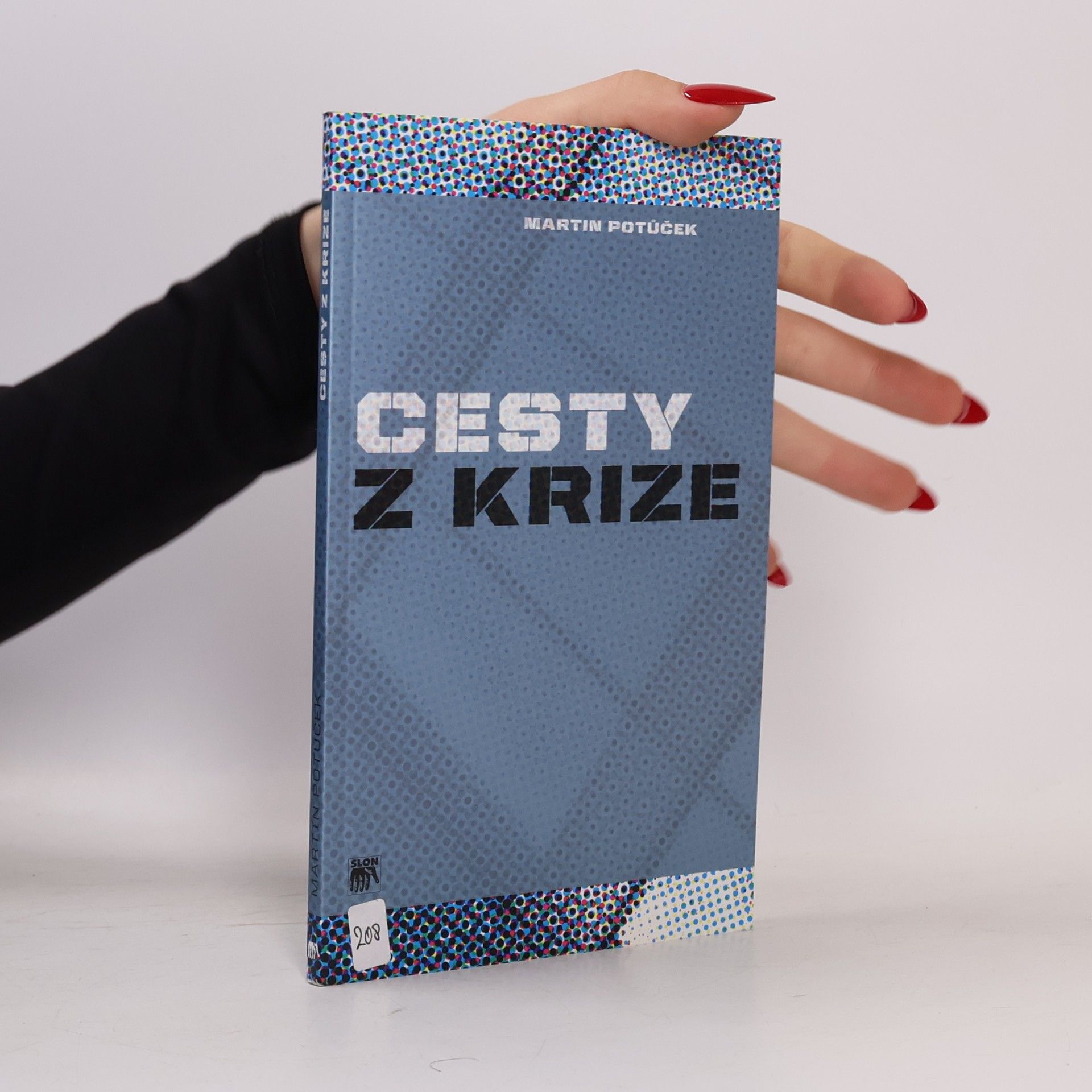 Martin Potůček Cesty z krize