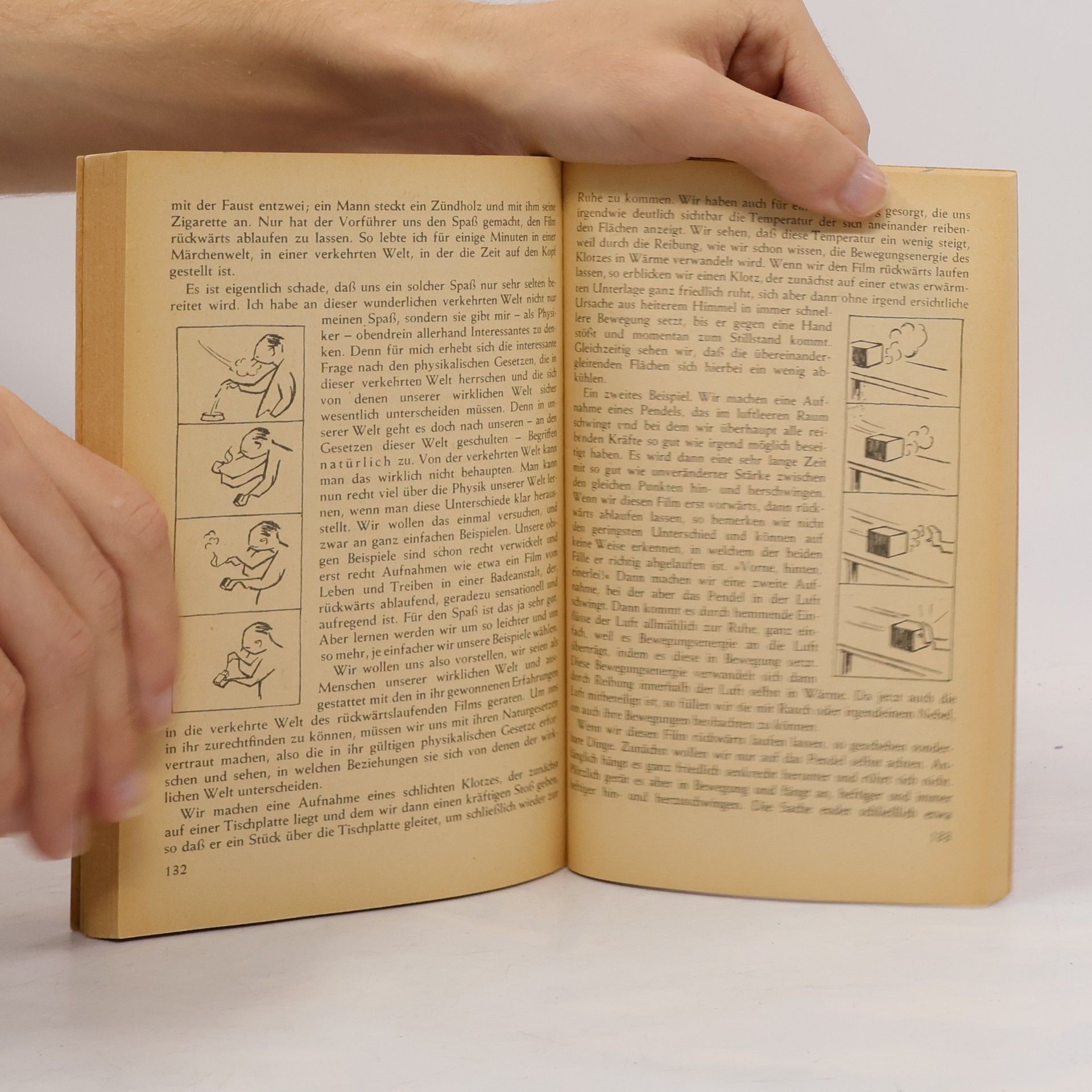Wilhelm Westphal Deine tägliche Physik