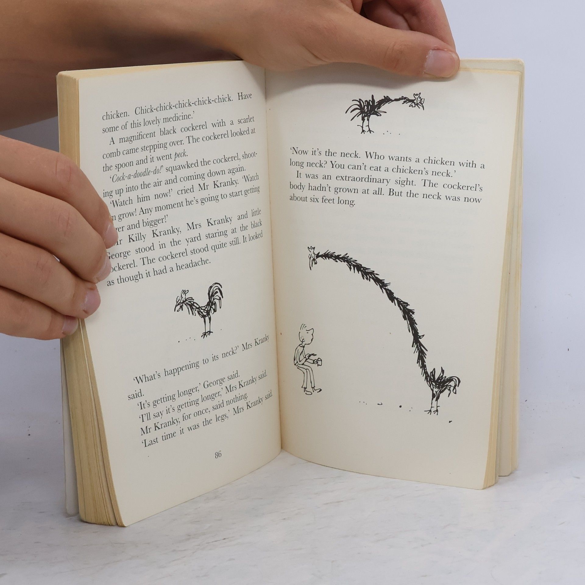 Roald Dahl George´s Marvellous Medicine