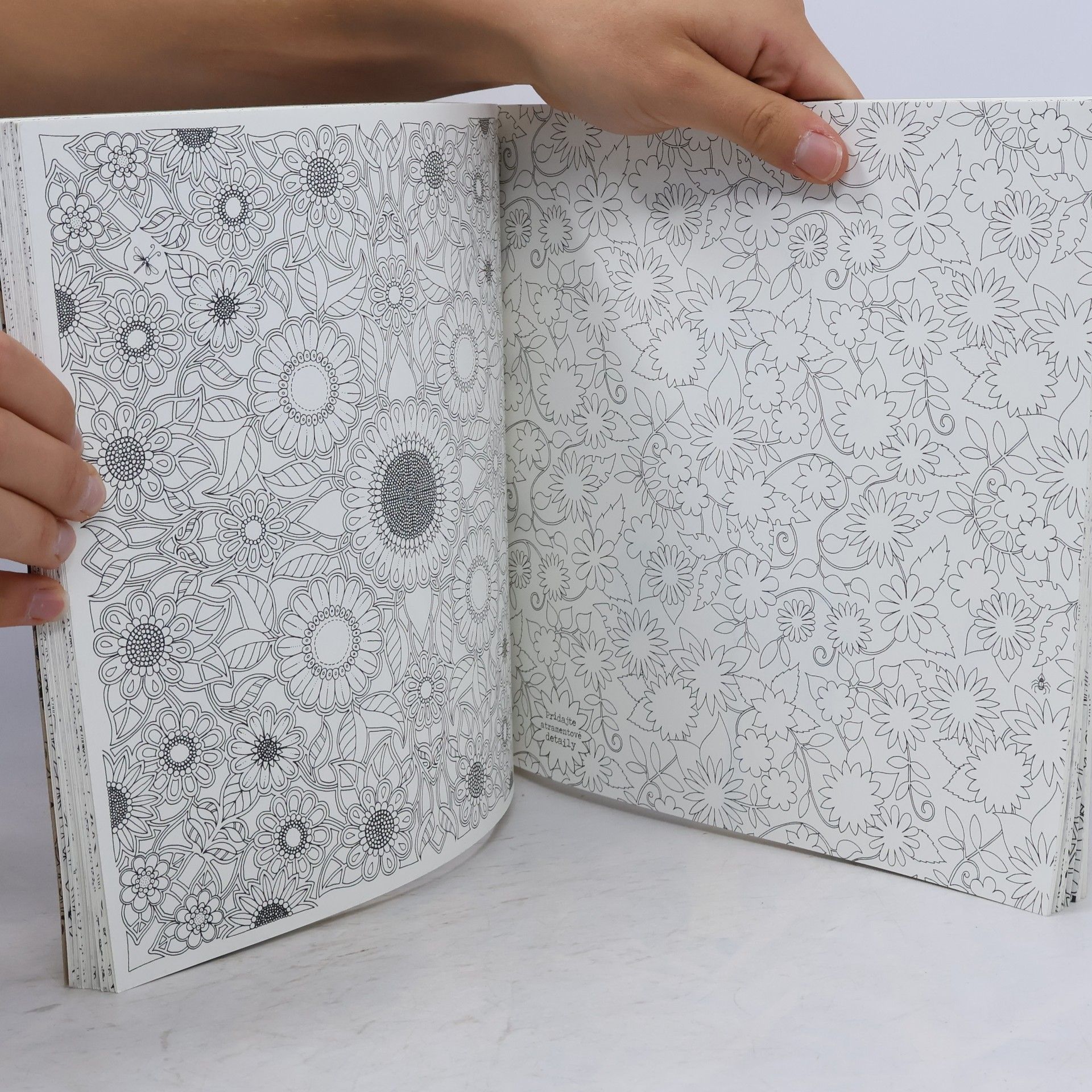 Johanna Basford Tajomná záhrada - atramentová cesta za pokladom