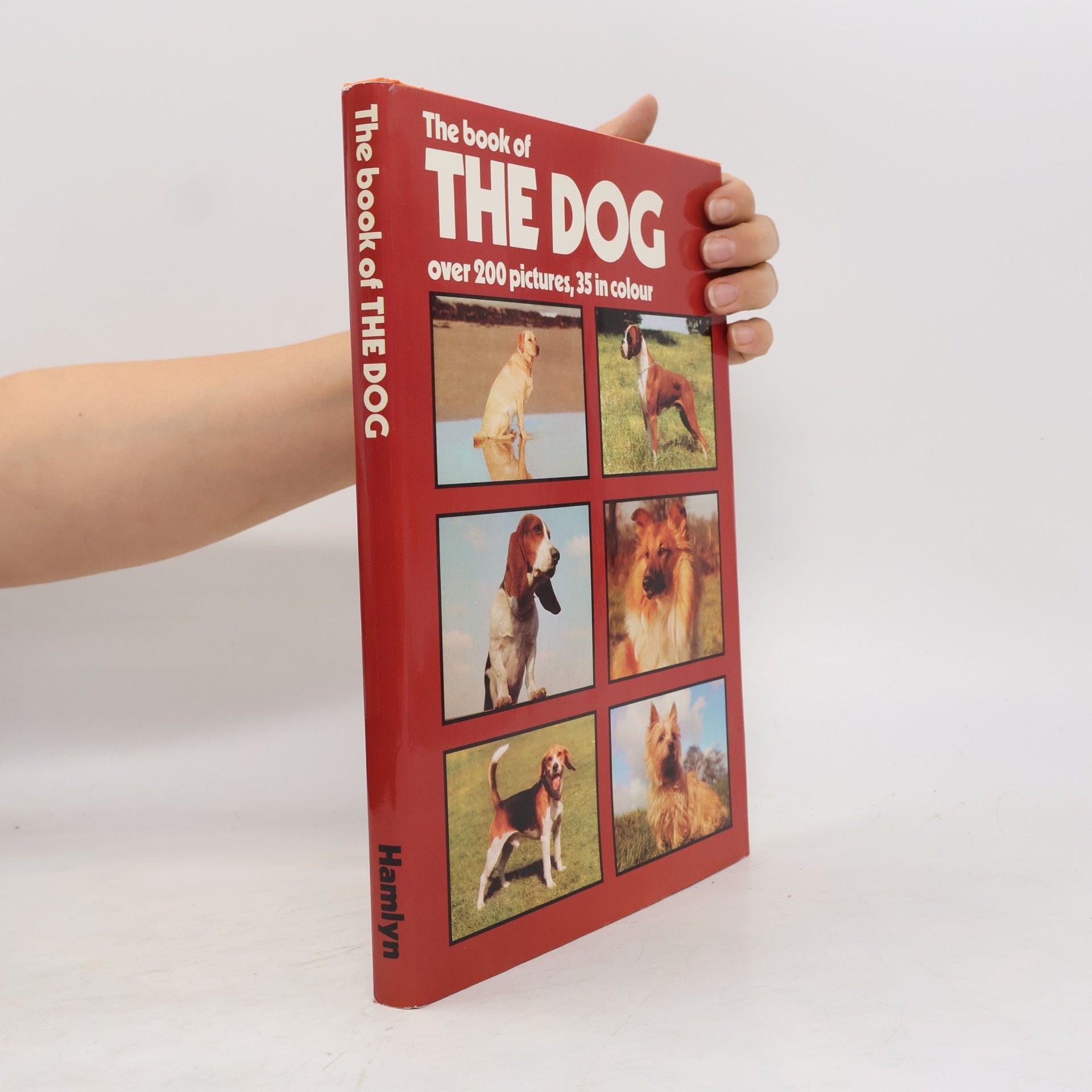 Kolektiv autorů The book of the dog