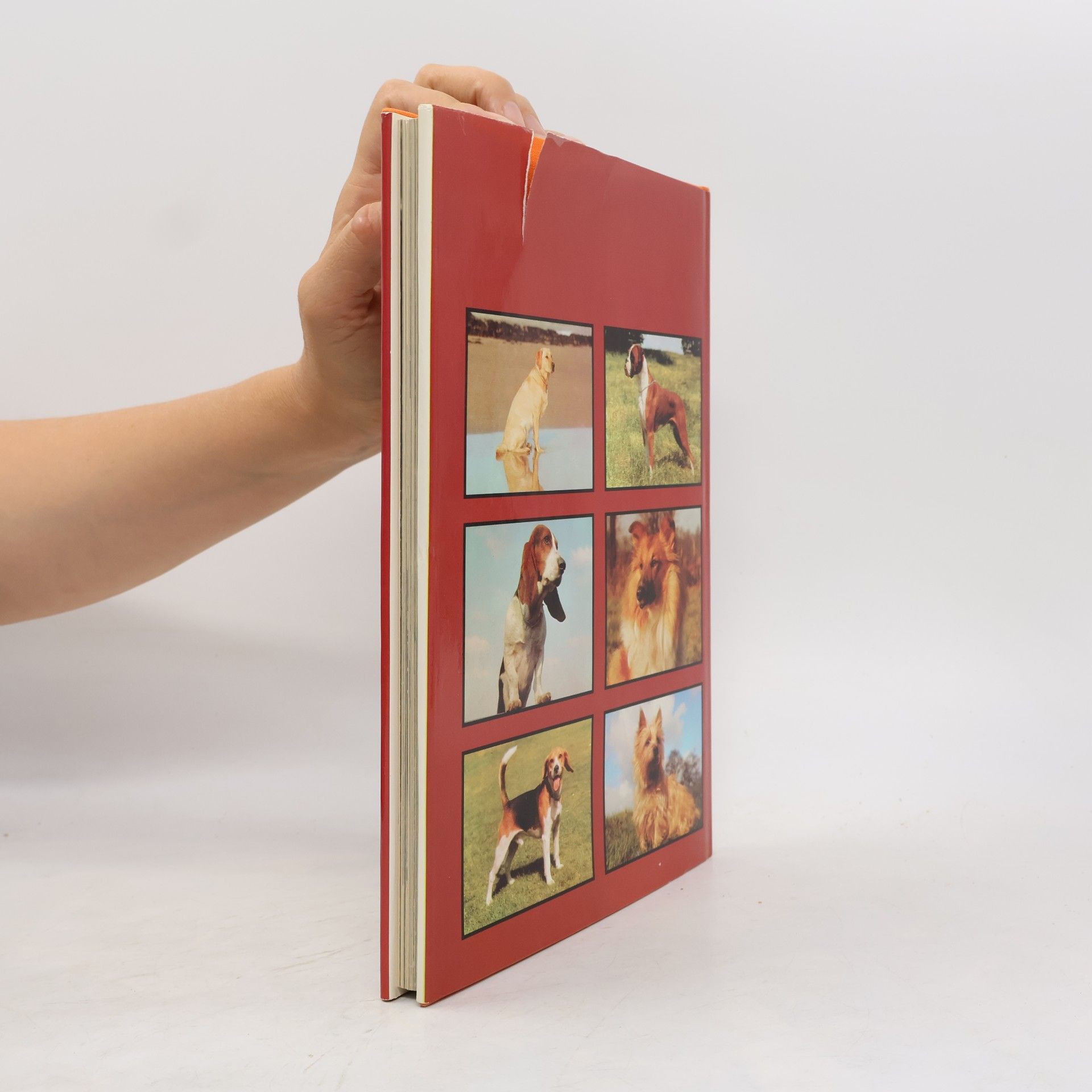 Kolektiv autorů The book of the dog