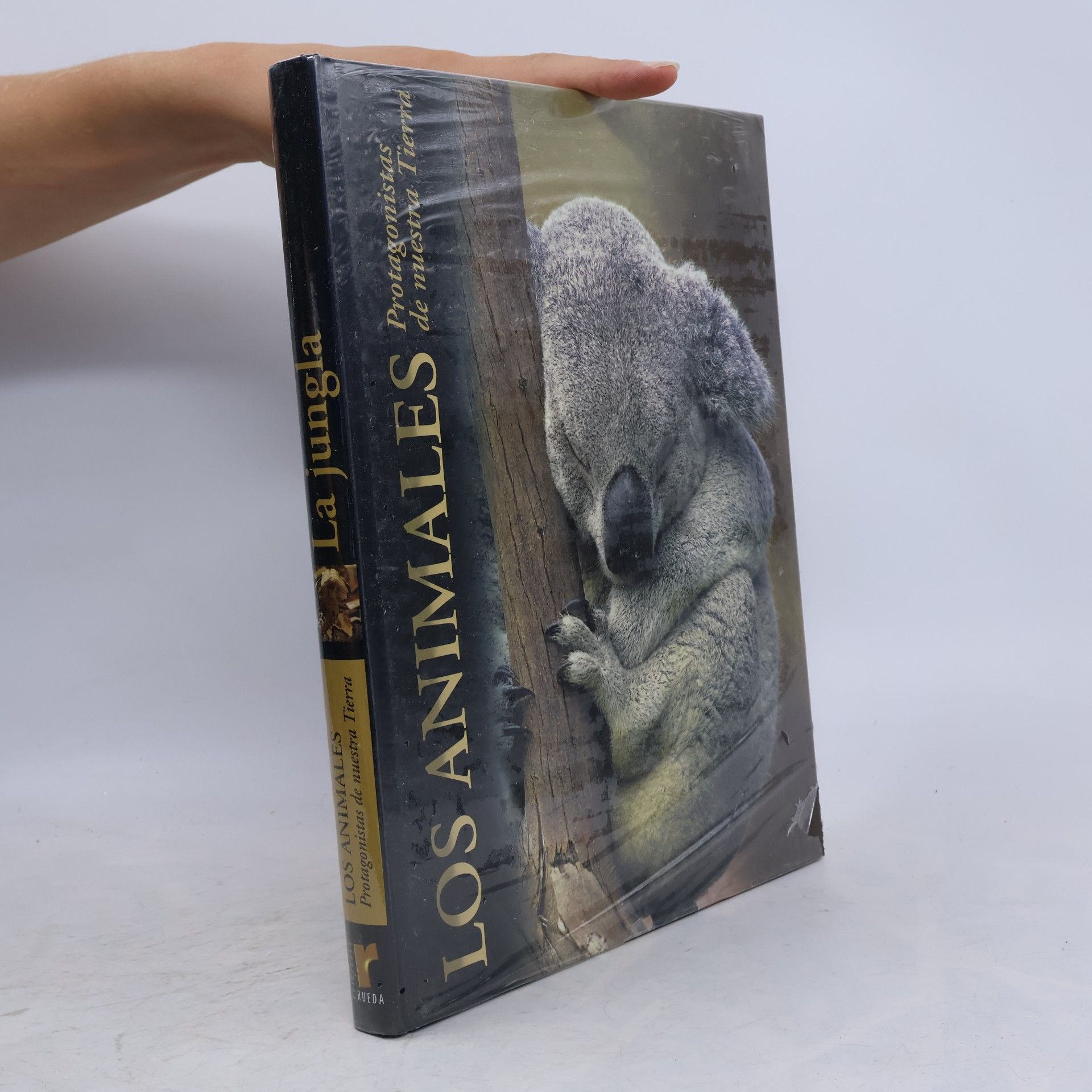 Autores varios La jungla: Los animales