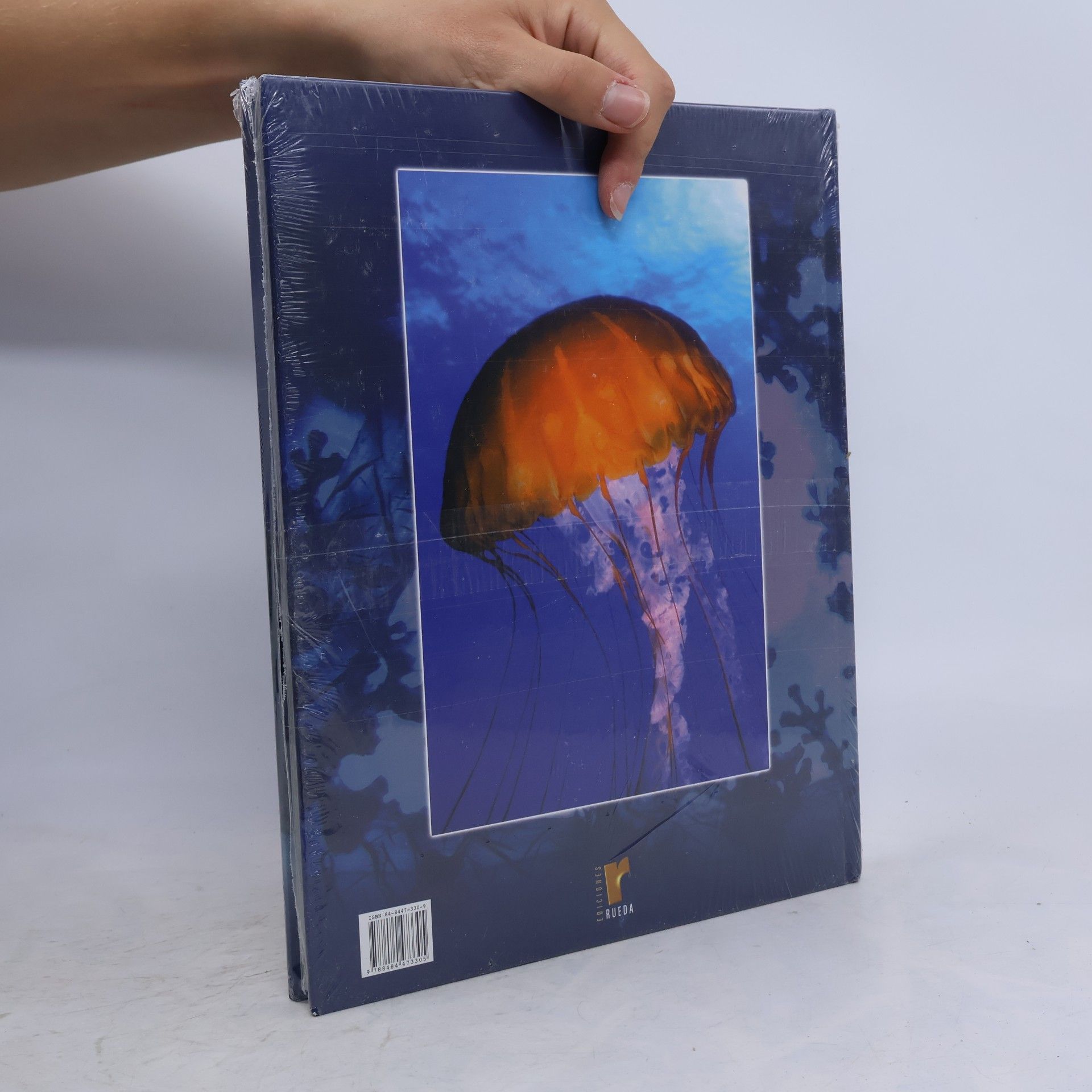 VV AA Vida marina: El mar abierto: Enciclopedia Mundo Submarino