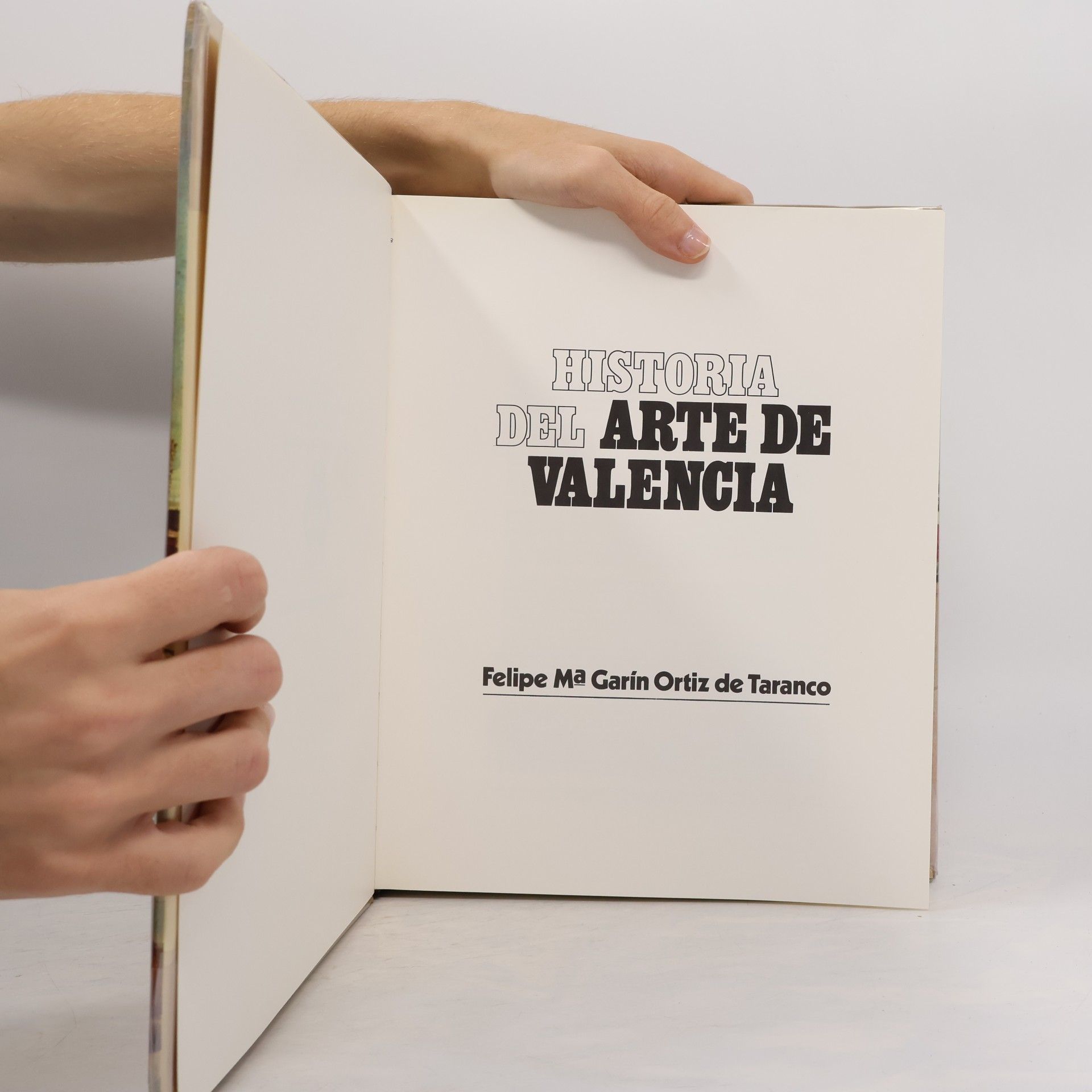 Felipe María Garín Ortiz de Taranco Historia del Arte de Valencia