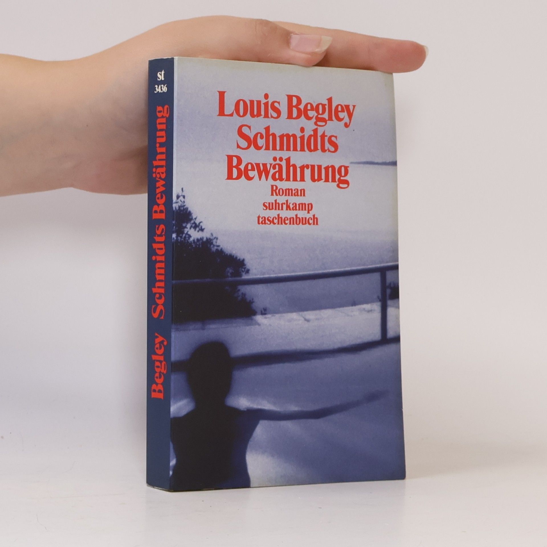 Louis Begley Schmidts Bewährung