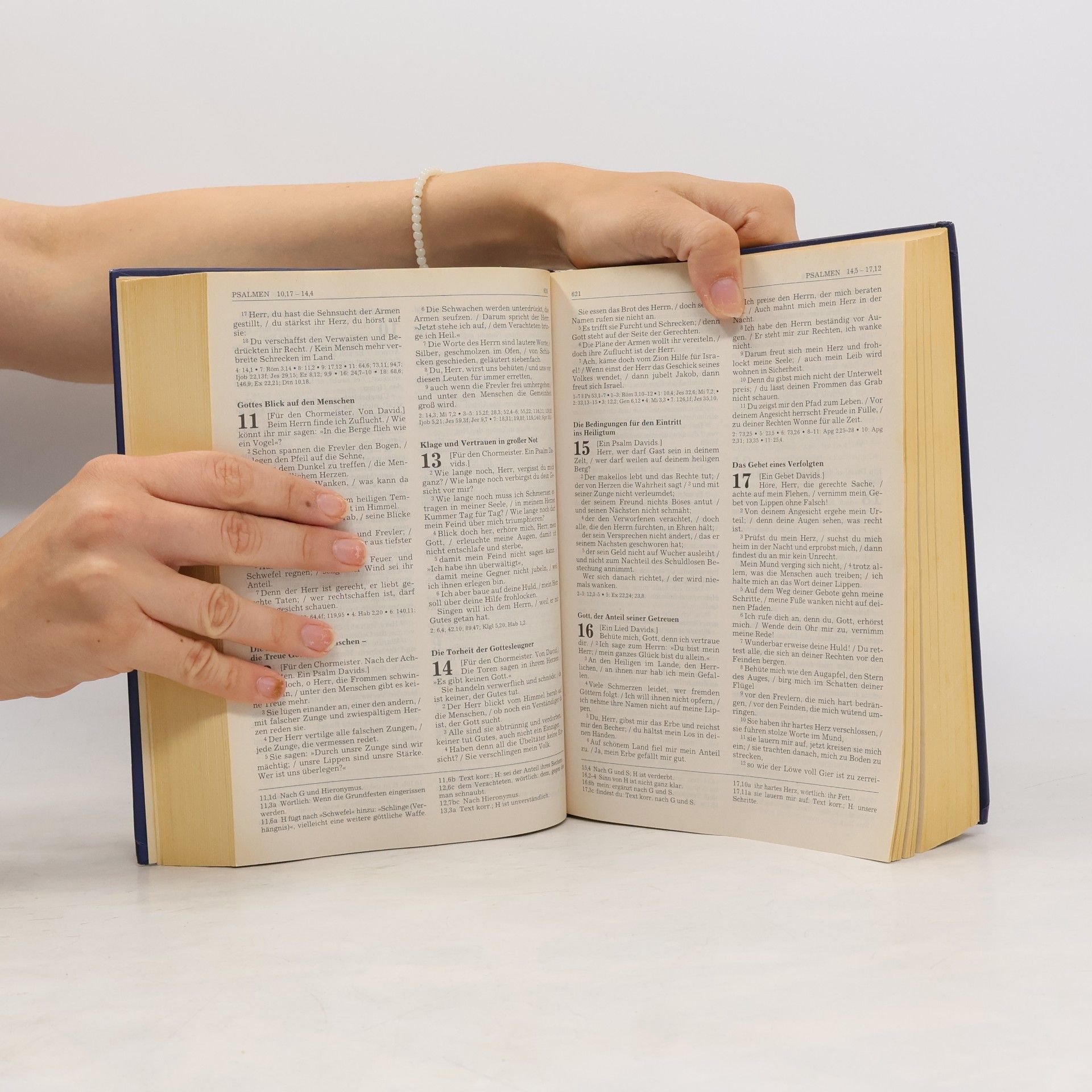 Autorenkollektiv Die Bibel. Einheitsübersetzung der Heiligen Schrift