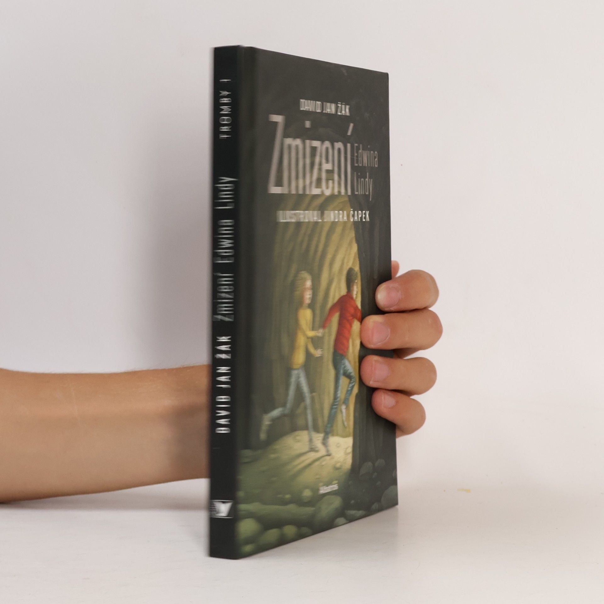 David Jan Žák Zmizení Edwina Lindy
