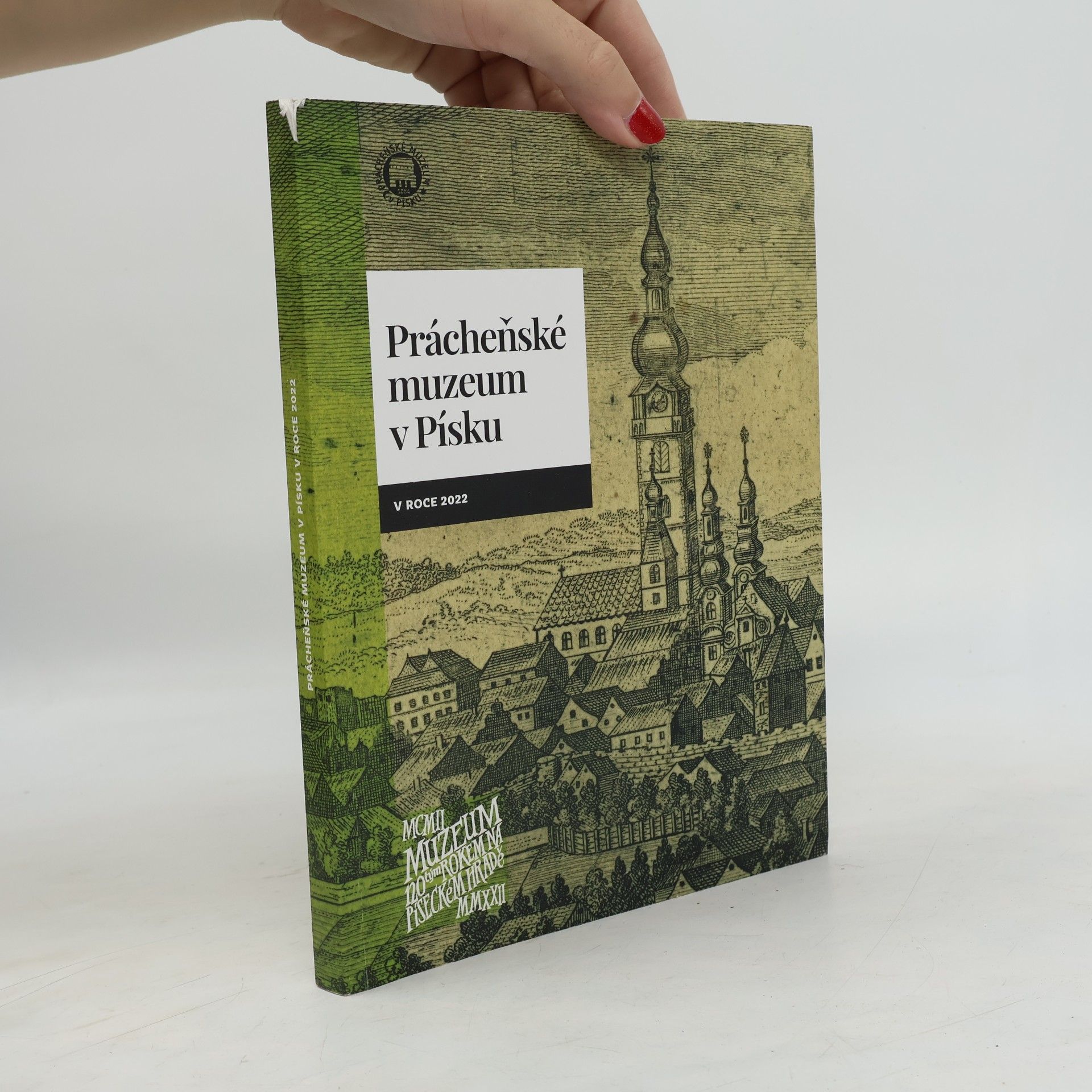 Kolektiv autorů Prácheňské muzeum v Písku