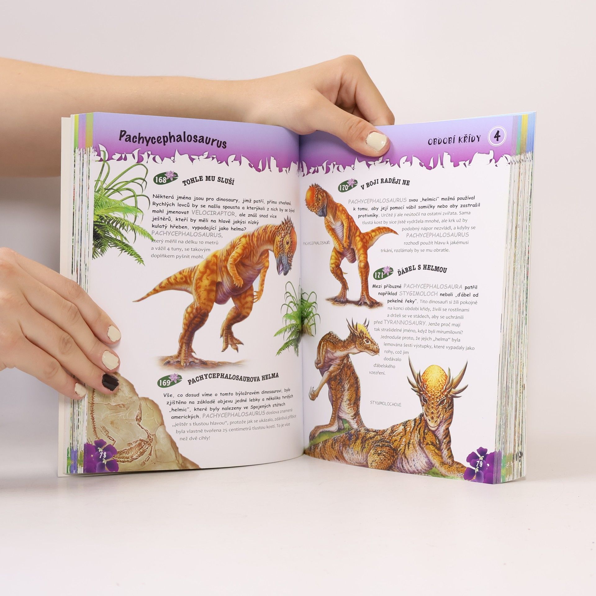 Collectif d'auteurs Velká encyklopedie. Dinosauři. V otázkách a odpovědích