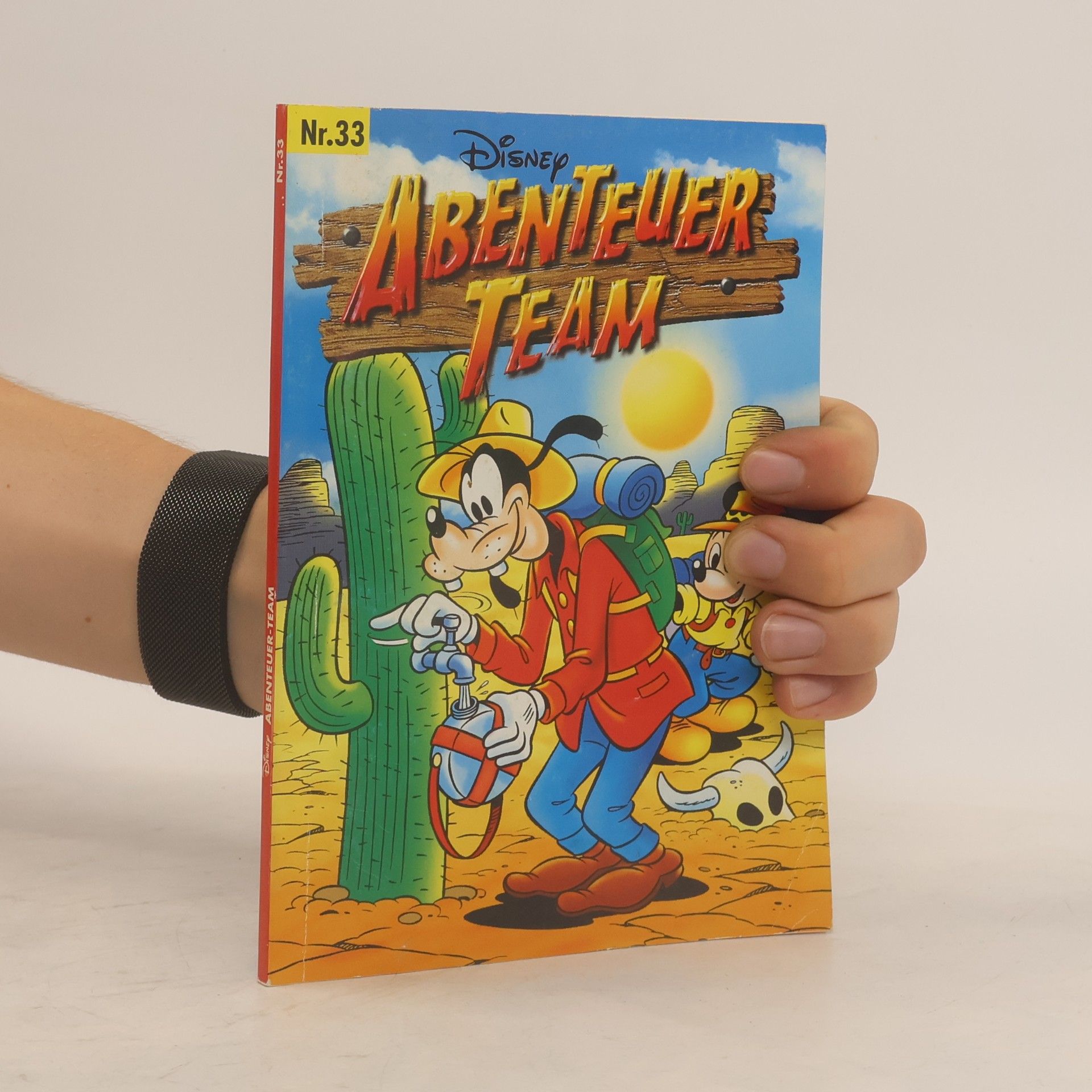 Kolektiv autorů Abenteuer Team Nr. 33