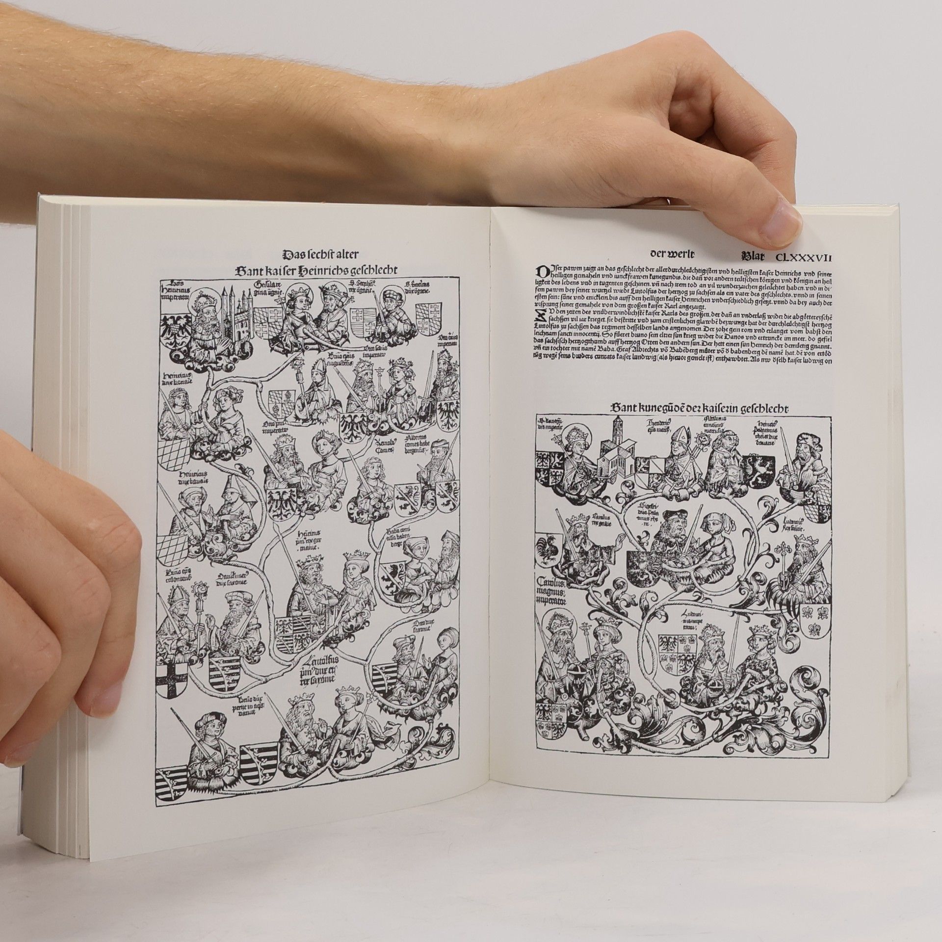 Autorenkollektiv Die Schedelsche Weltchronik