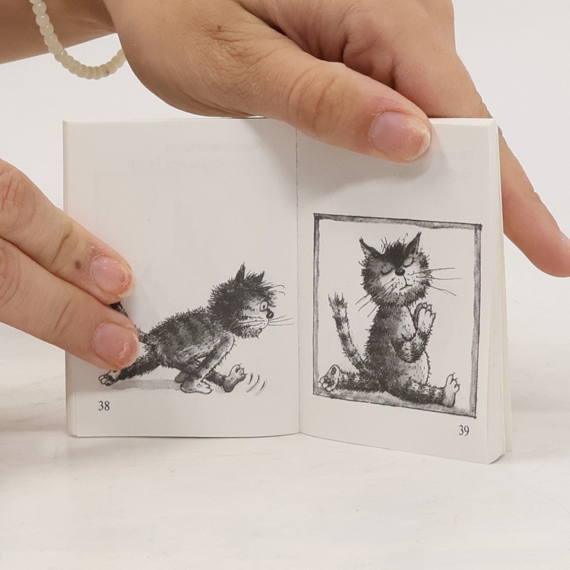 Traudl Reiner Yoga für Katzen