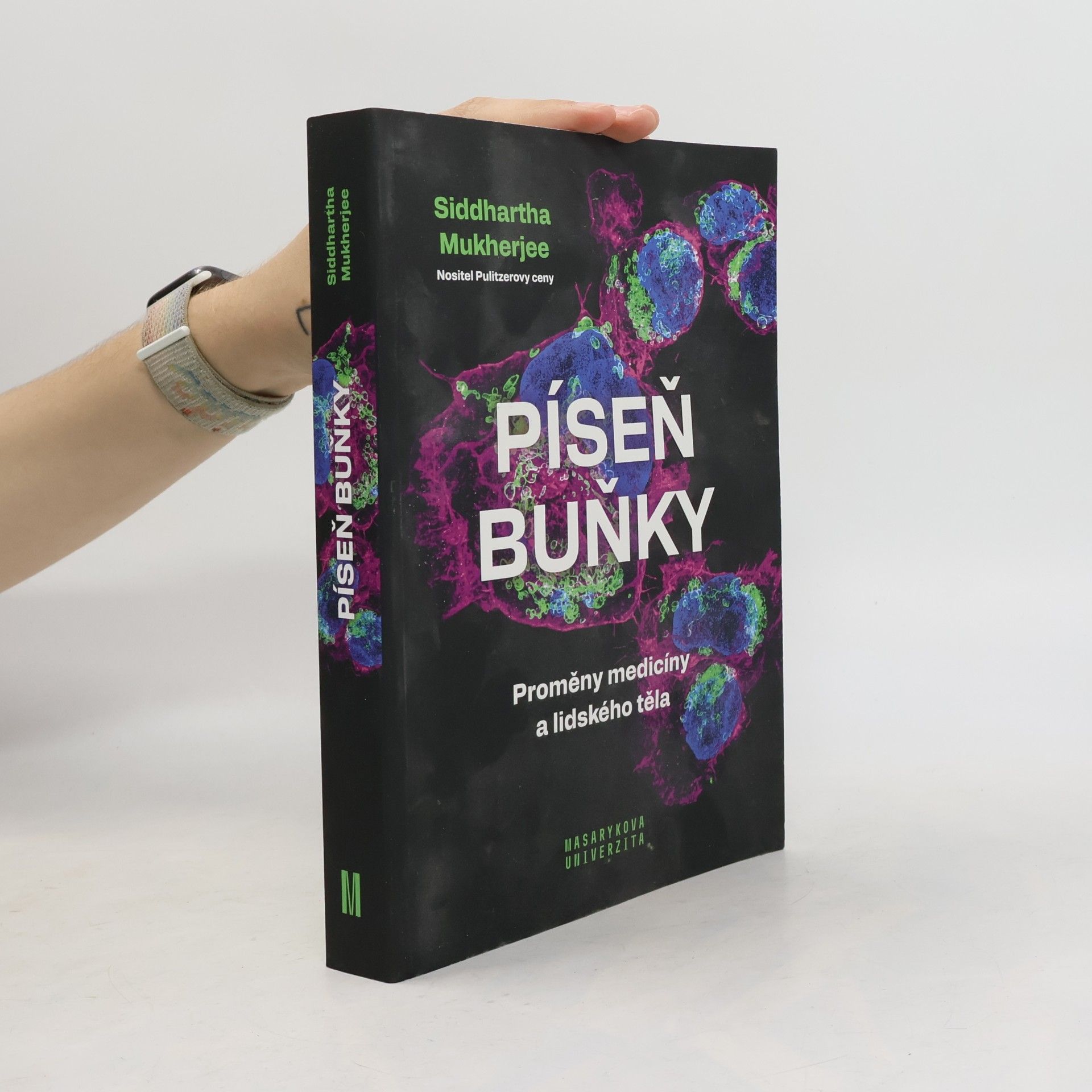 Píseň buňky