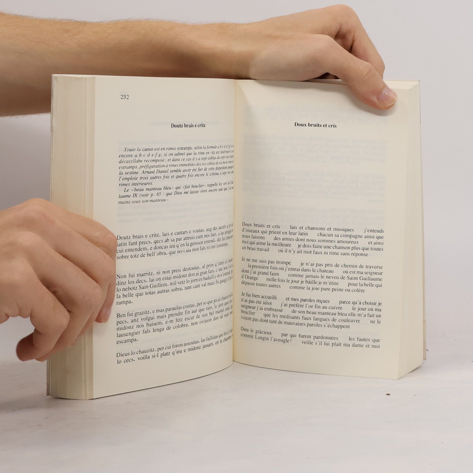Jacques Roubaud Les Troubadours