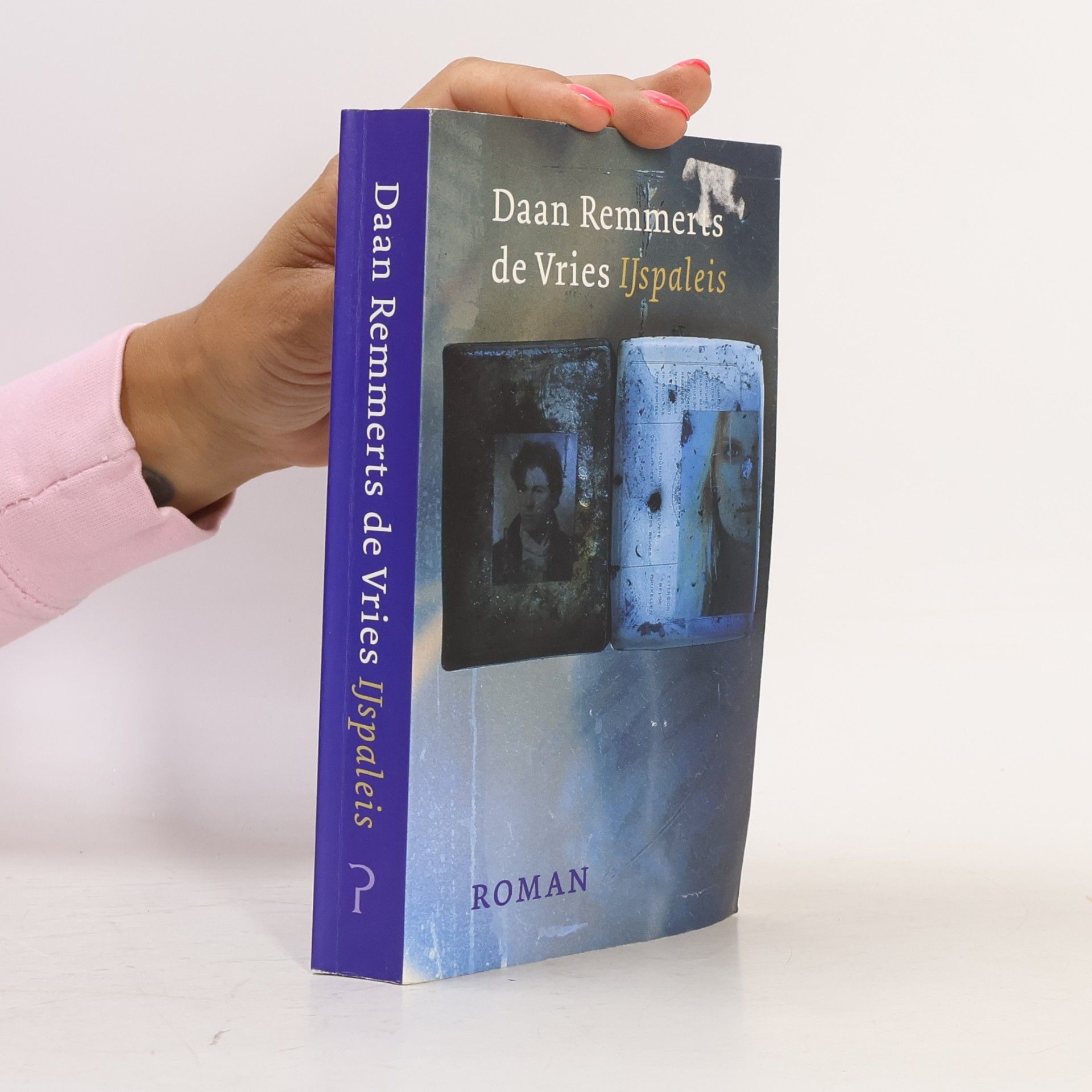 Daan Remmerts de Vries IJspaleis