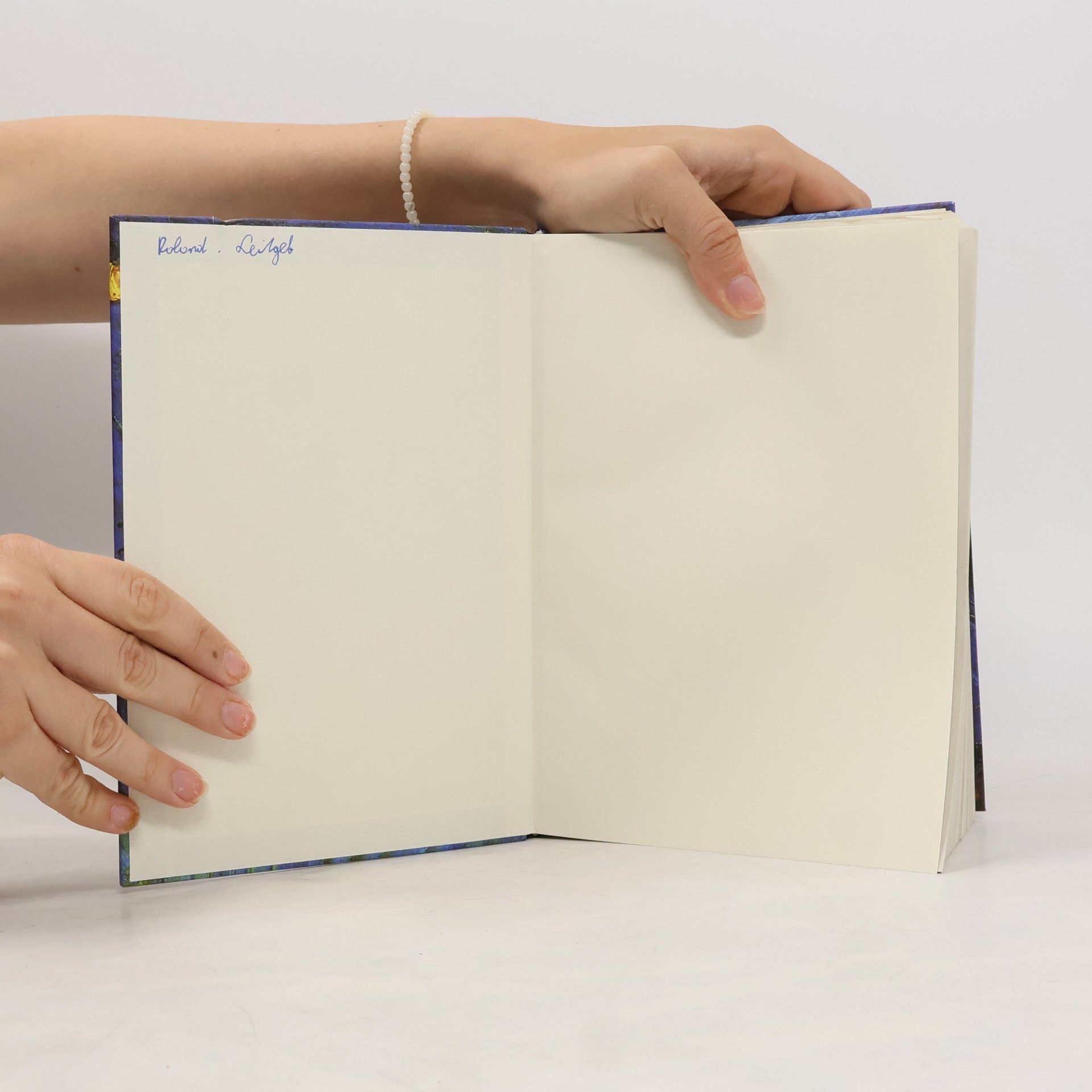 Katholisches Bibelwerk Die Bibel, Einheitsübersetzung der Heiligen Schrift, Gesamtausgabe, Umschlagbild Van Gogh 'Zwei abgeschnittene Sonnenblumen' (Nr