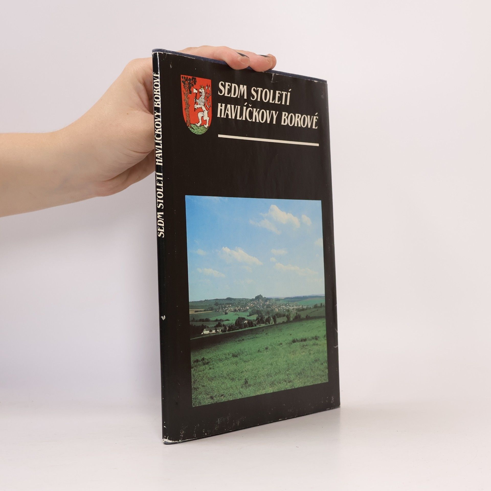Kolektiv autorů Sedm století Havlíčkovy Borové