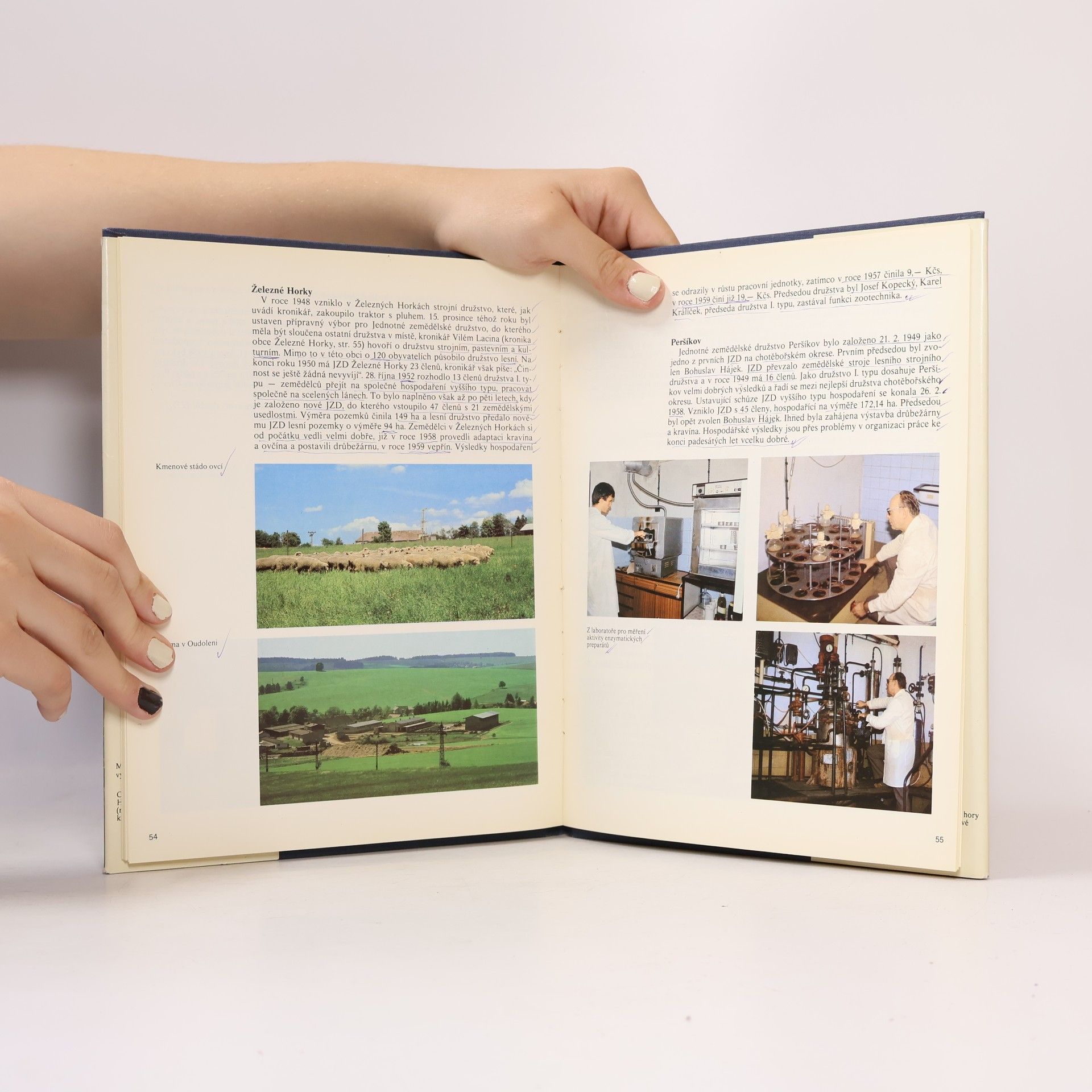 Autores varios Sedm století Havlíčkovy Borové