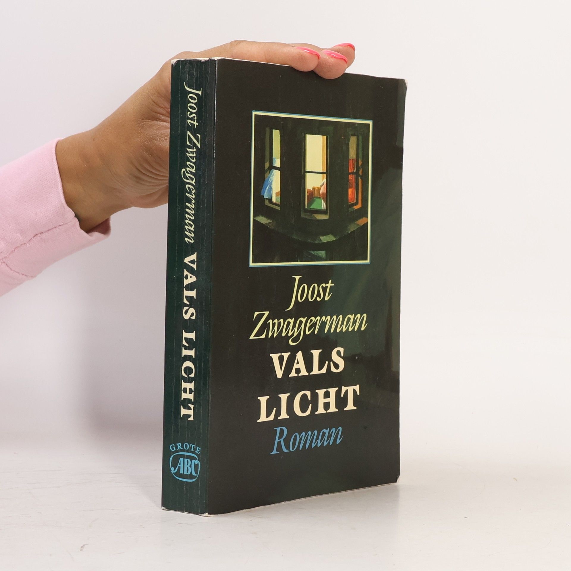 Joost Zwagerman Vals Licht