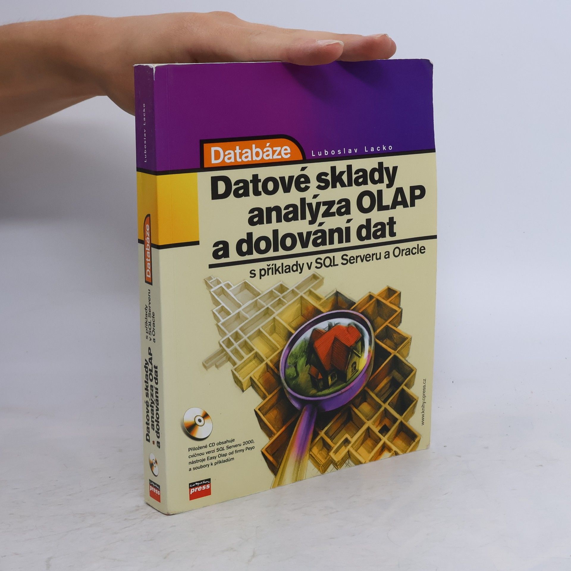 Databáze: datové sklady, OLAP a dolování dat s příklady v Microsoft SQL Serveru a Oracle