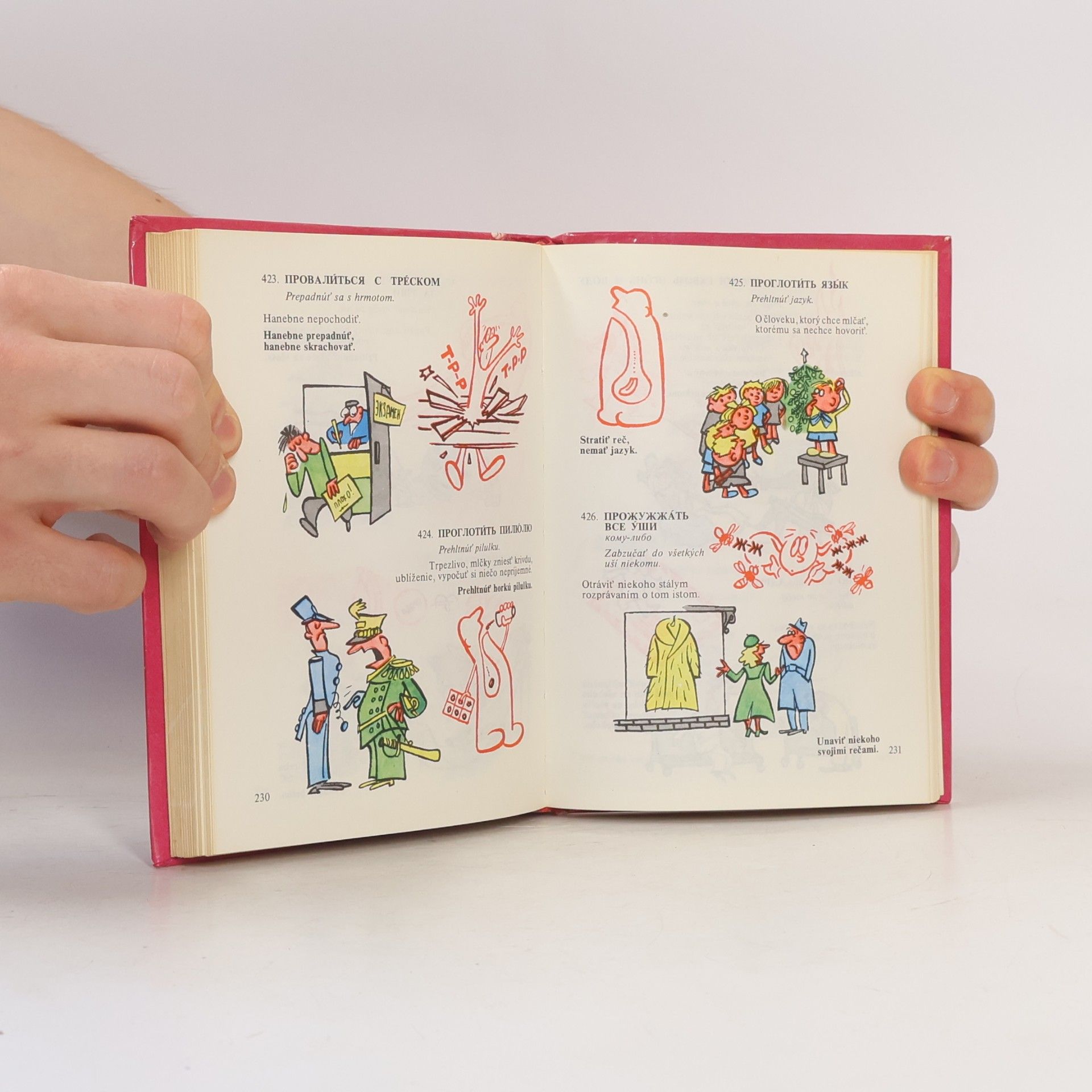 Autorenkollektiv Ruské frazeologizmy v obrázkoch