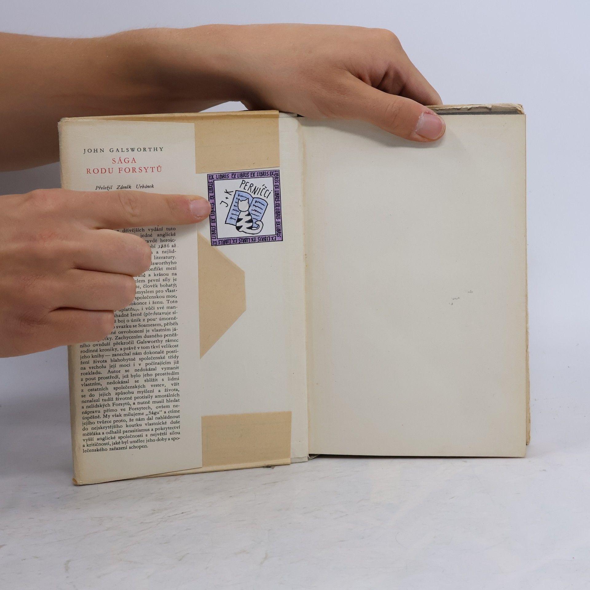 John Galsworthy Sága rodu Forsytů I. Bohatec