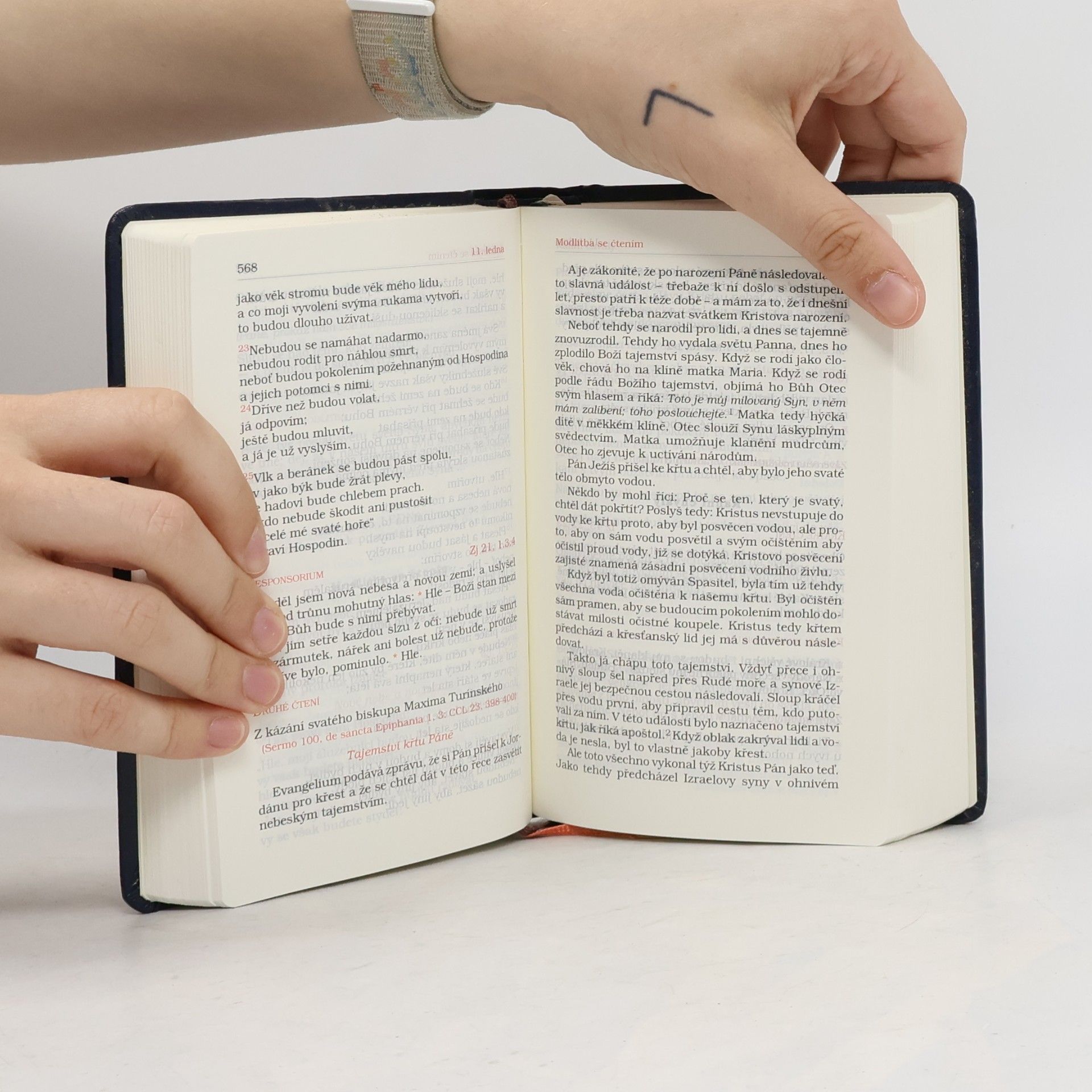 Various authors Liturgie hodin I.