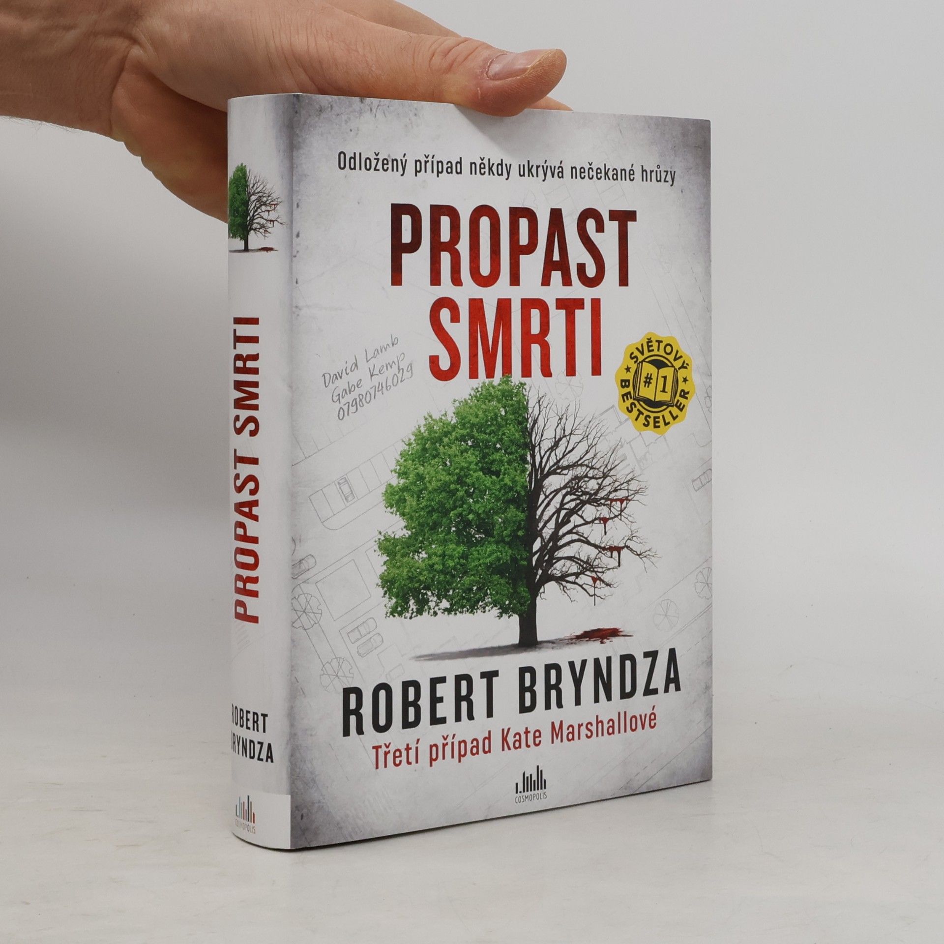 Robert Bryndza Propast smrti