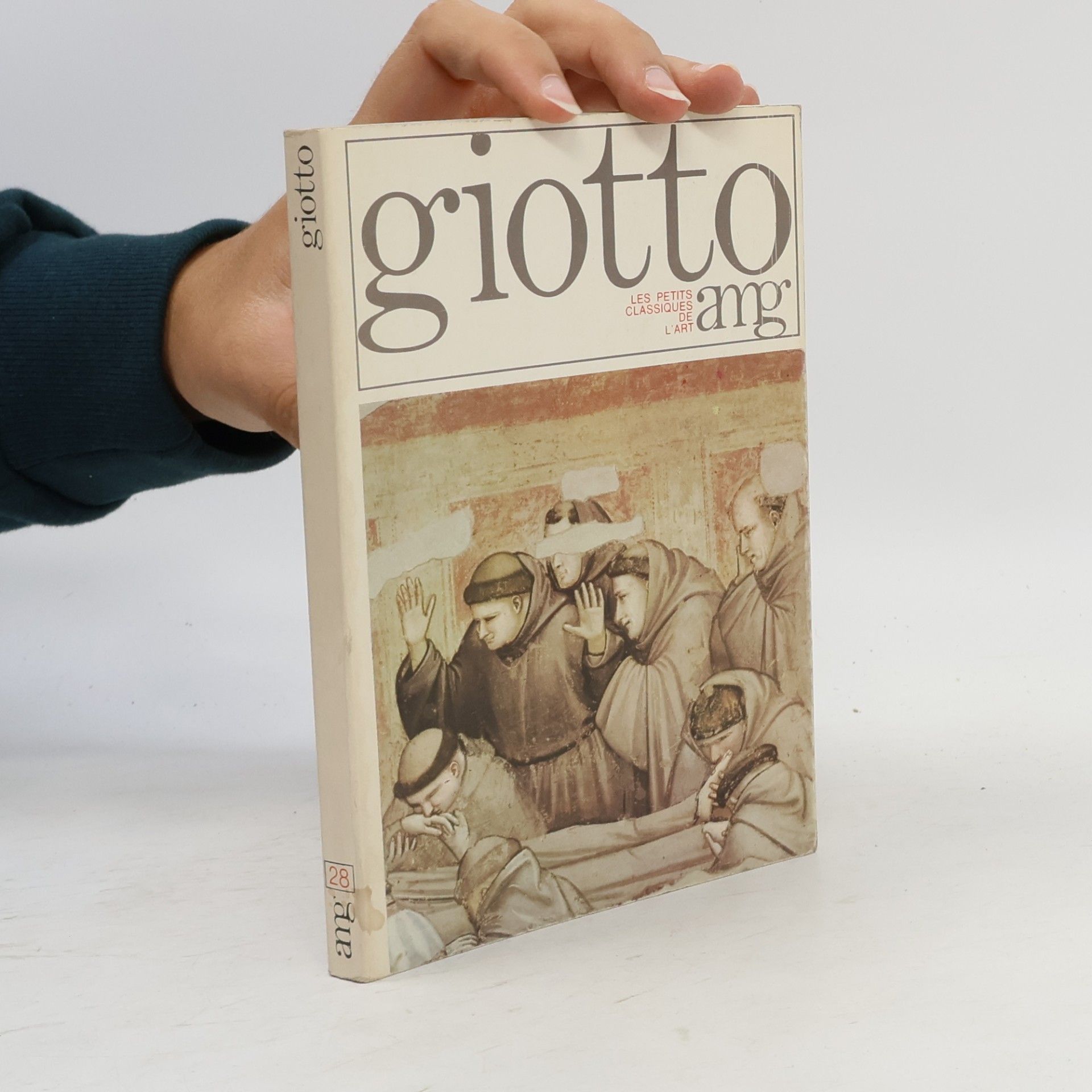 Mario Bucci Giotto