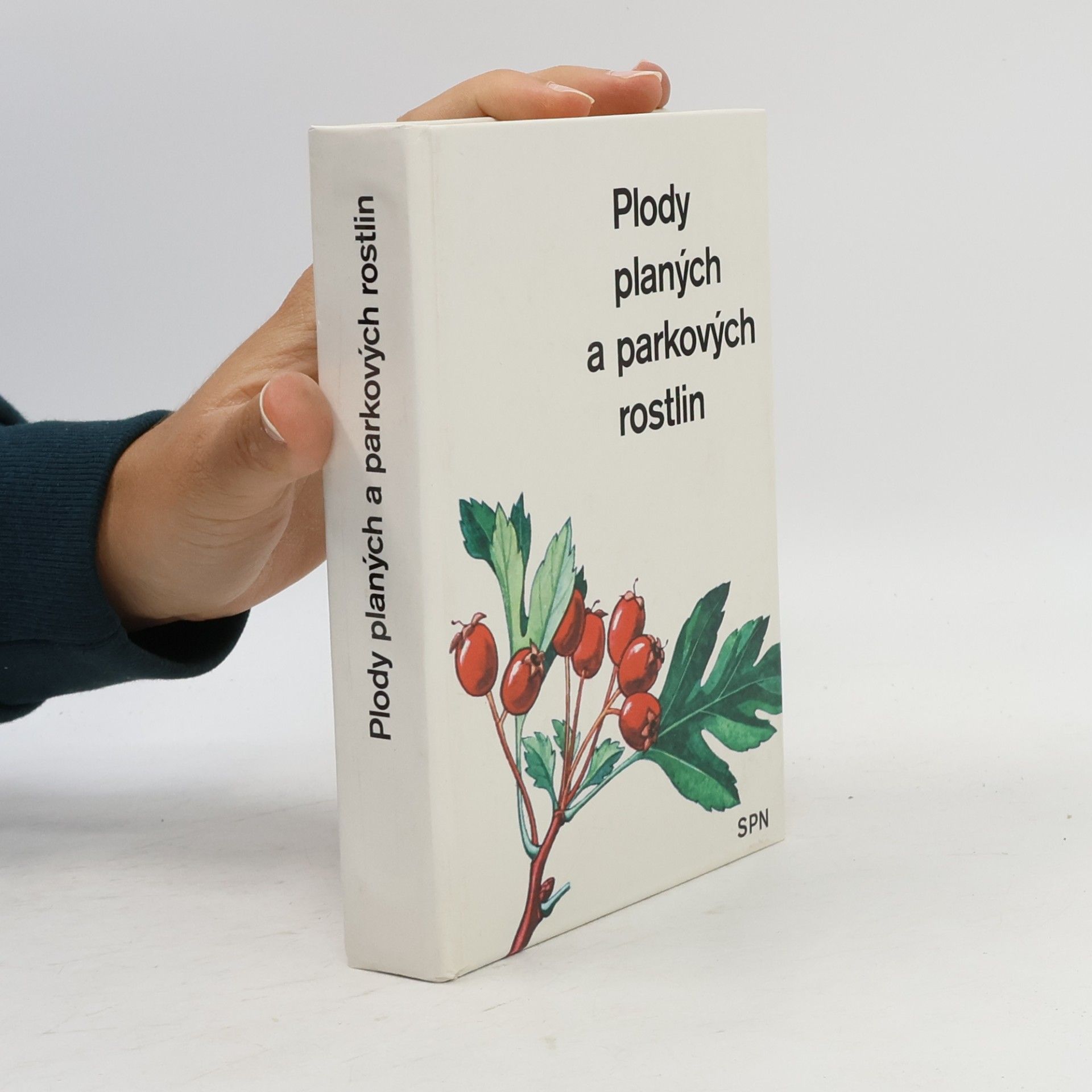 Alois Mikula Plody planých a parkových rostlin. Kapesní atlas