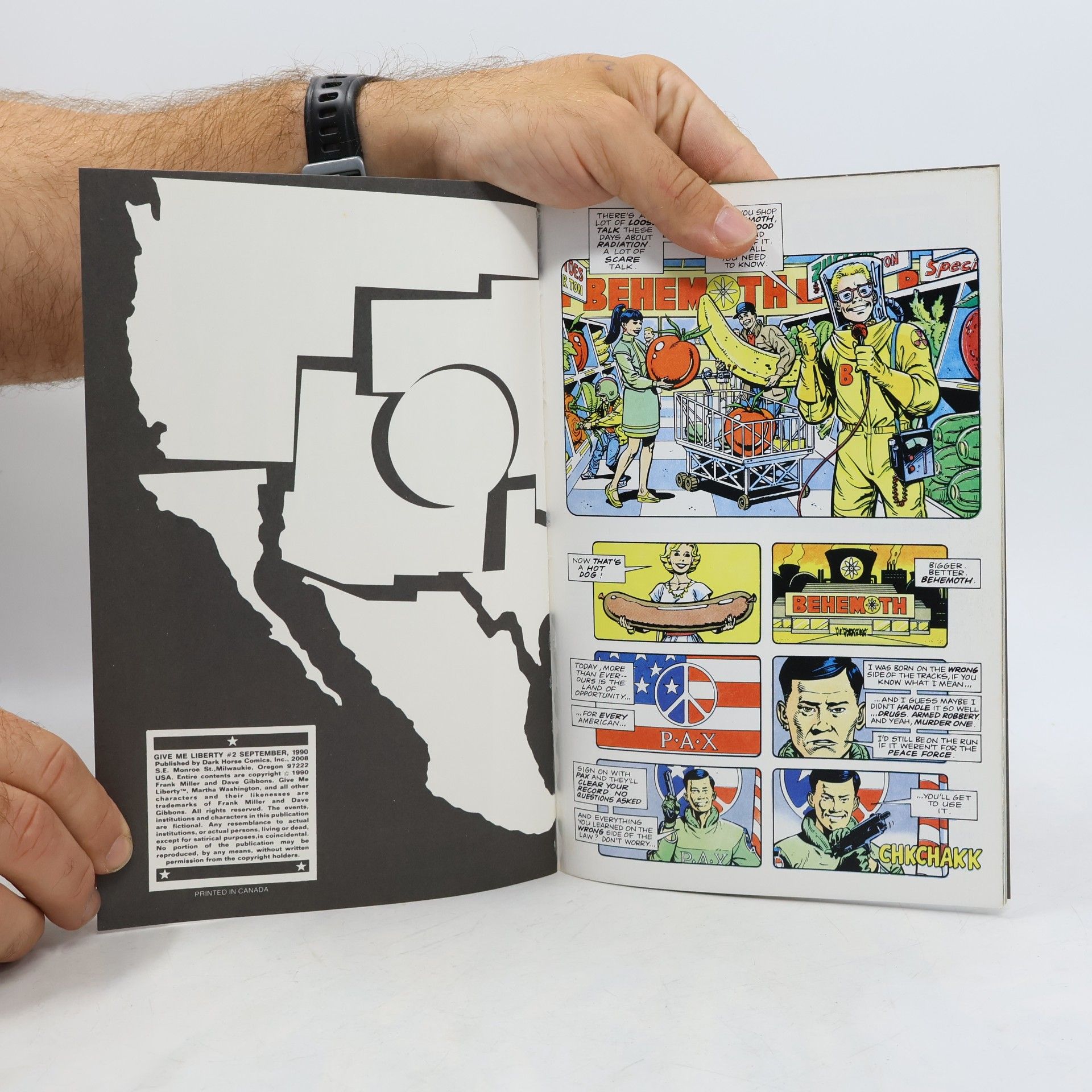 Frank Miller Give Me Liberty