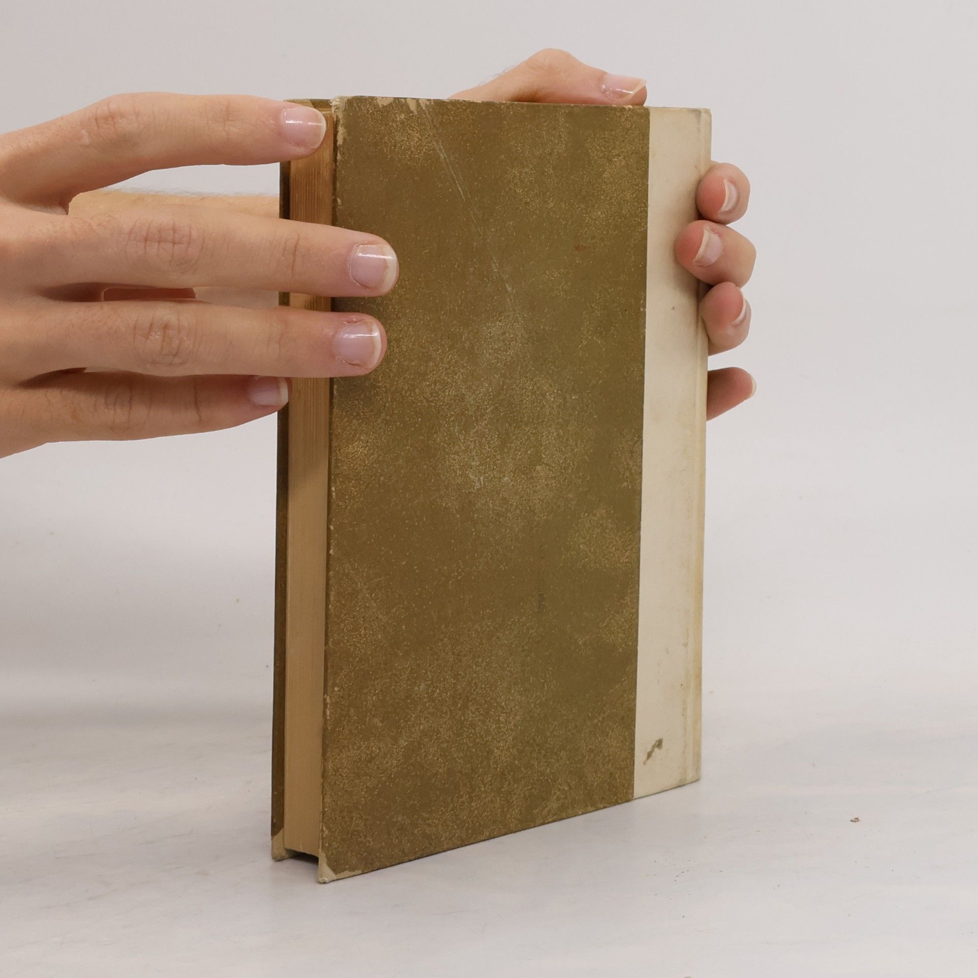 Augustin Fünfzehn Bücher über die Dreieinigkeit