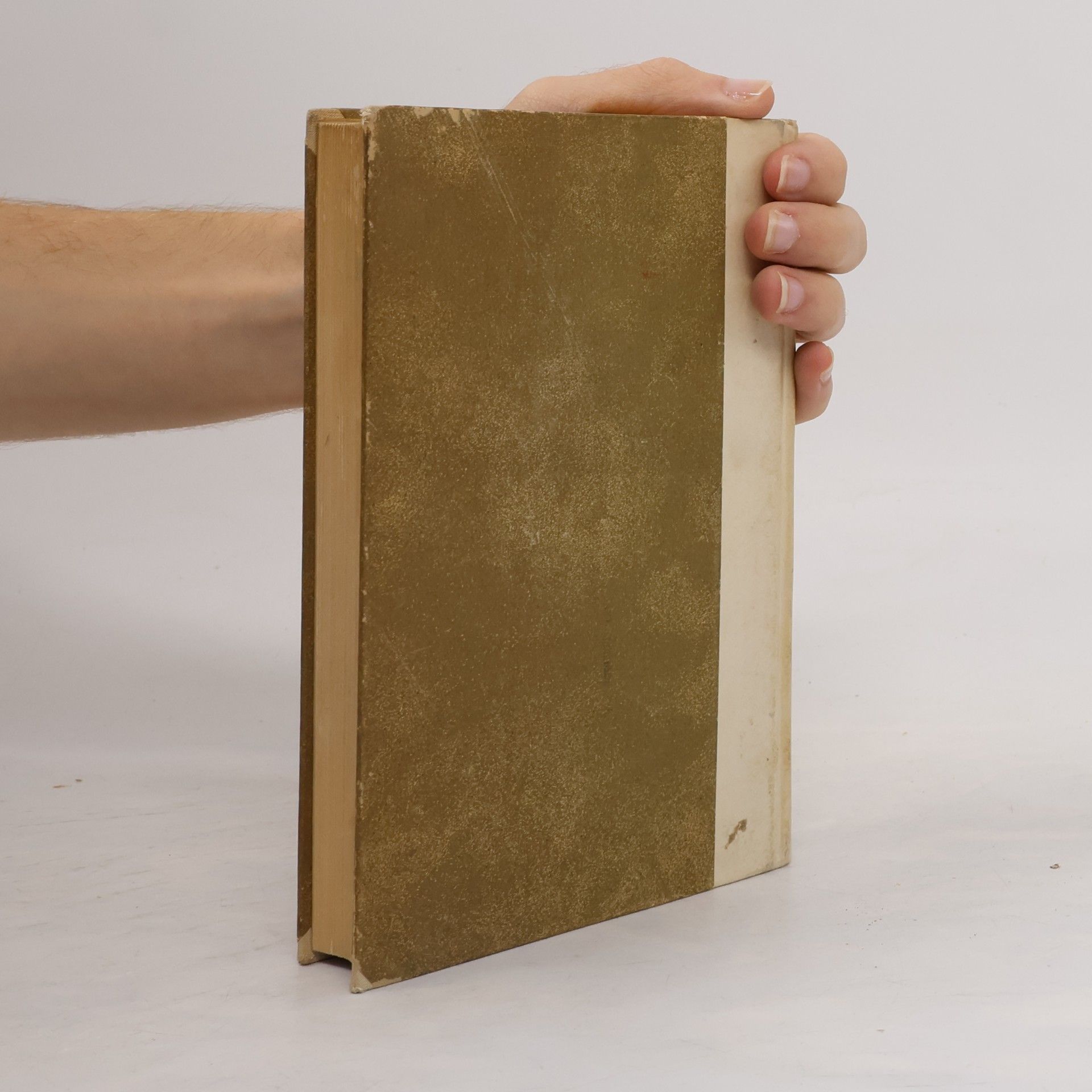 Augustin Fünfzehn Bücher über die Dreieinigkeit