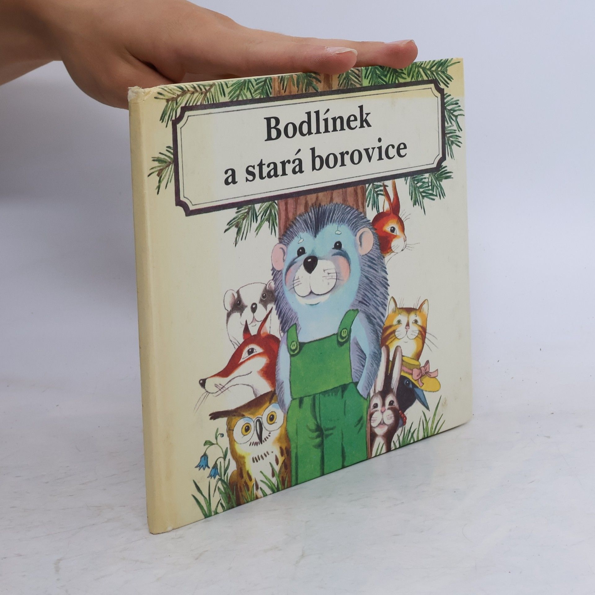 Bodlínek a stará borovice
