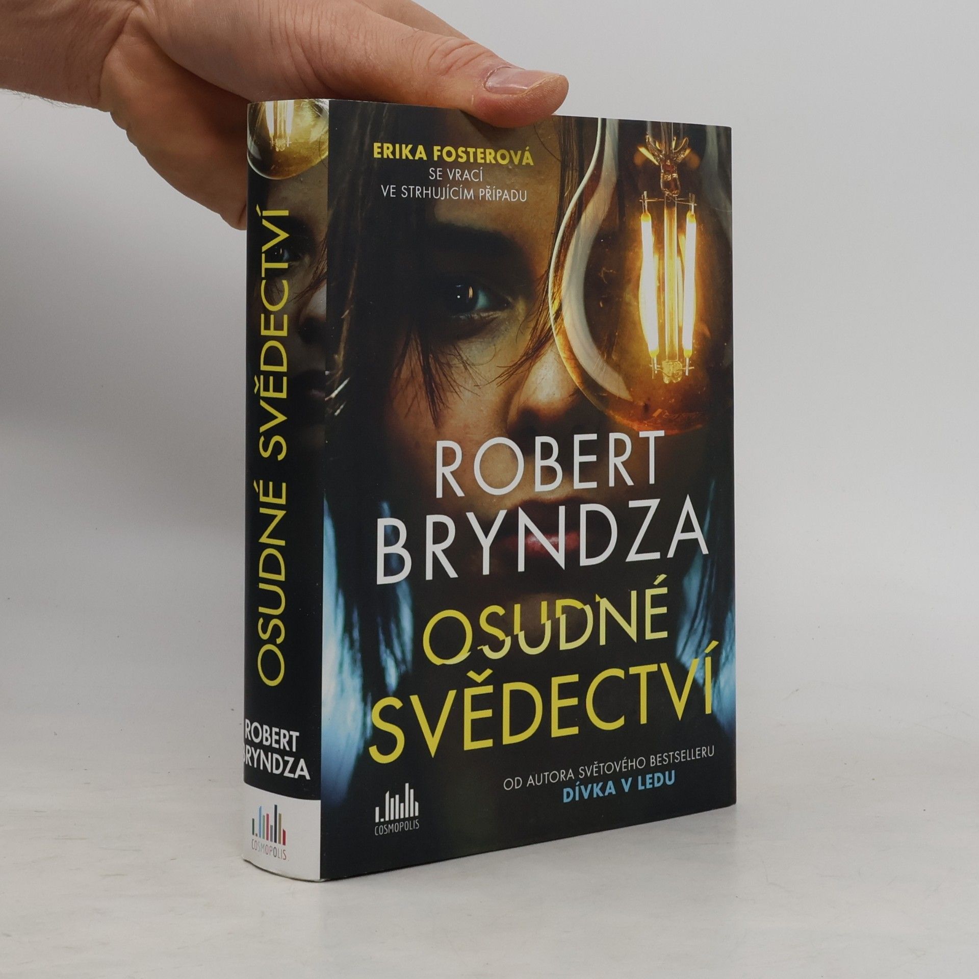Robert Bryndza Osudné svědectví