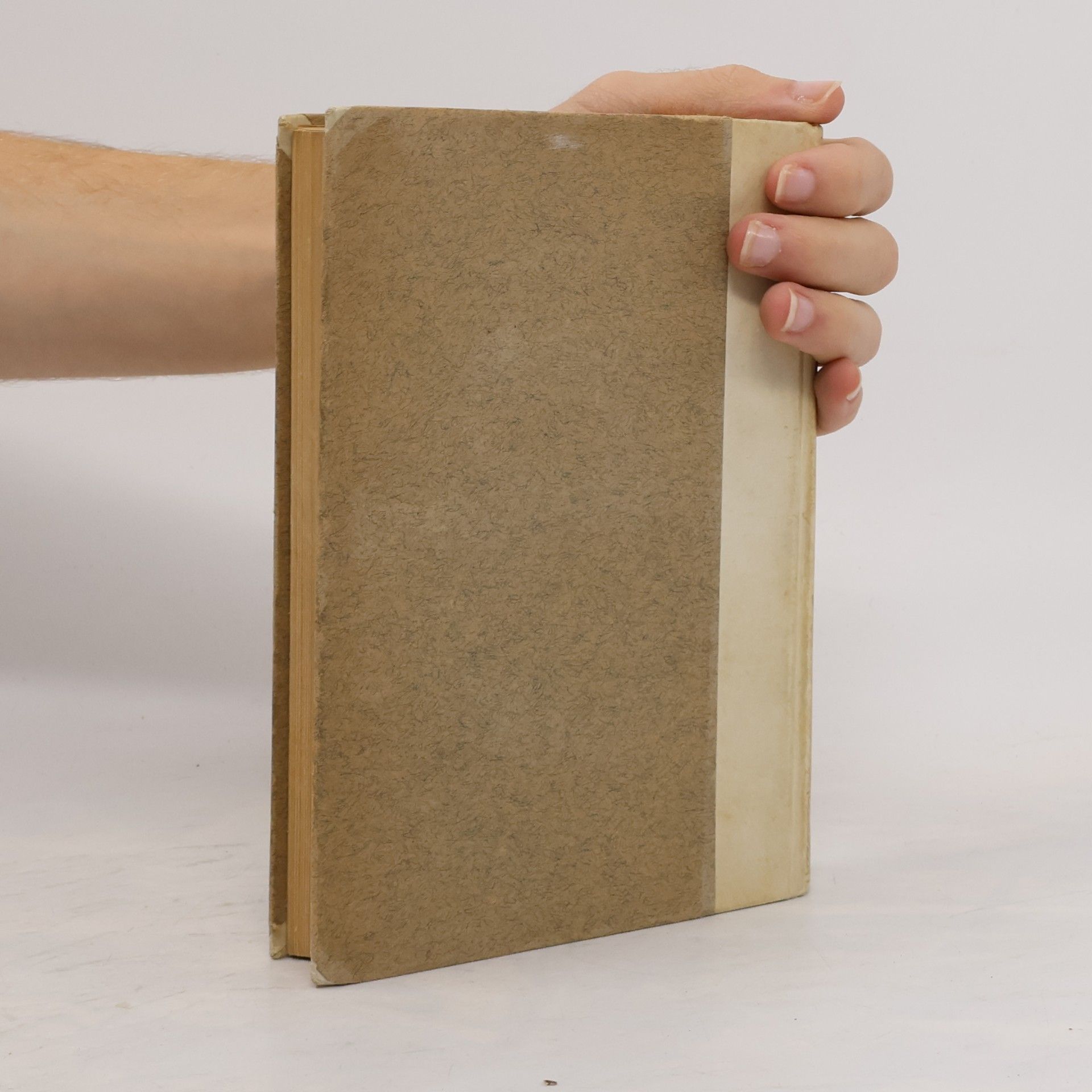 Augustin Des Heiligen Kirchenvaters Aurelius Augustinus Ausgewählte Schriften aus dem Lateinischen Übersetzt VIII. Band