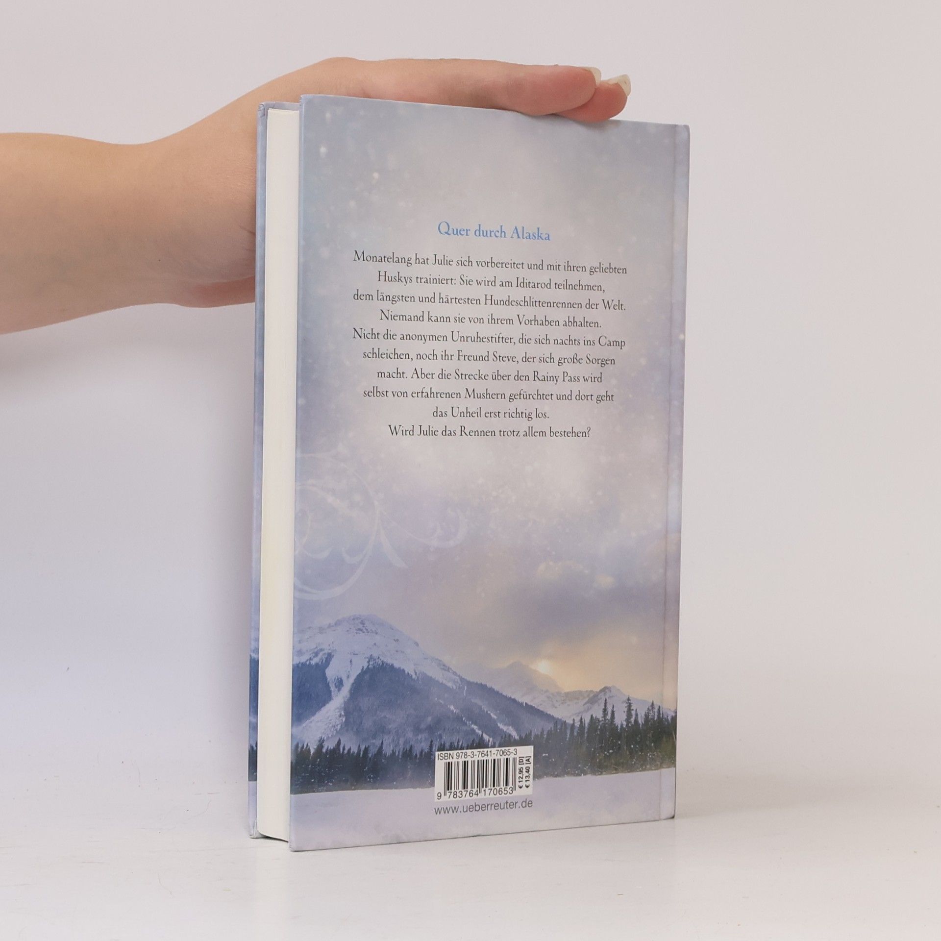 Christopher Ross Die Geister vom Rainy Pass