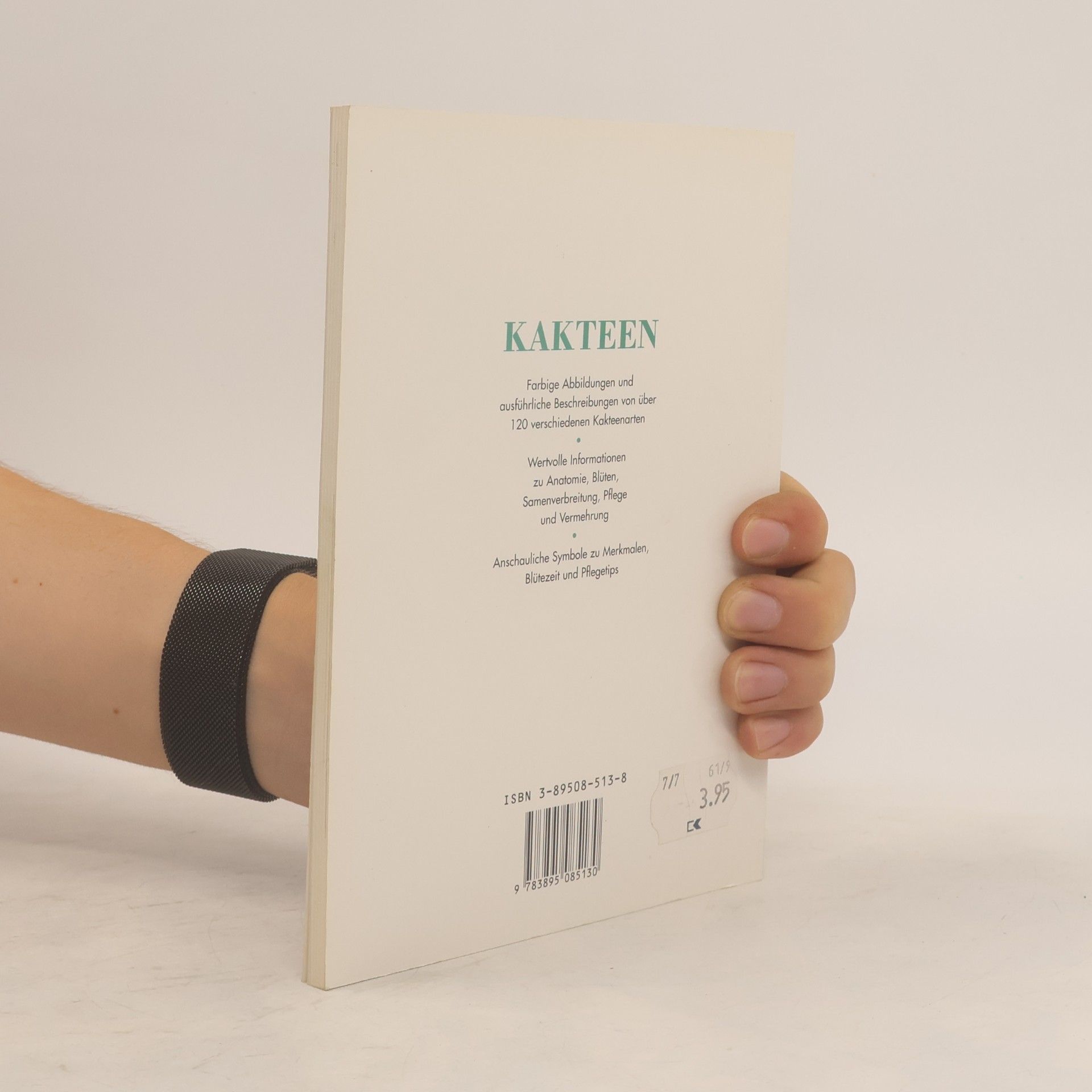 Charles Glass Kakteen