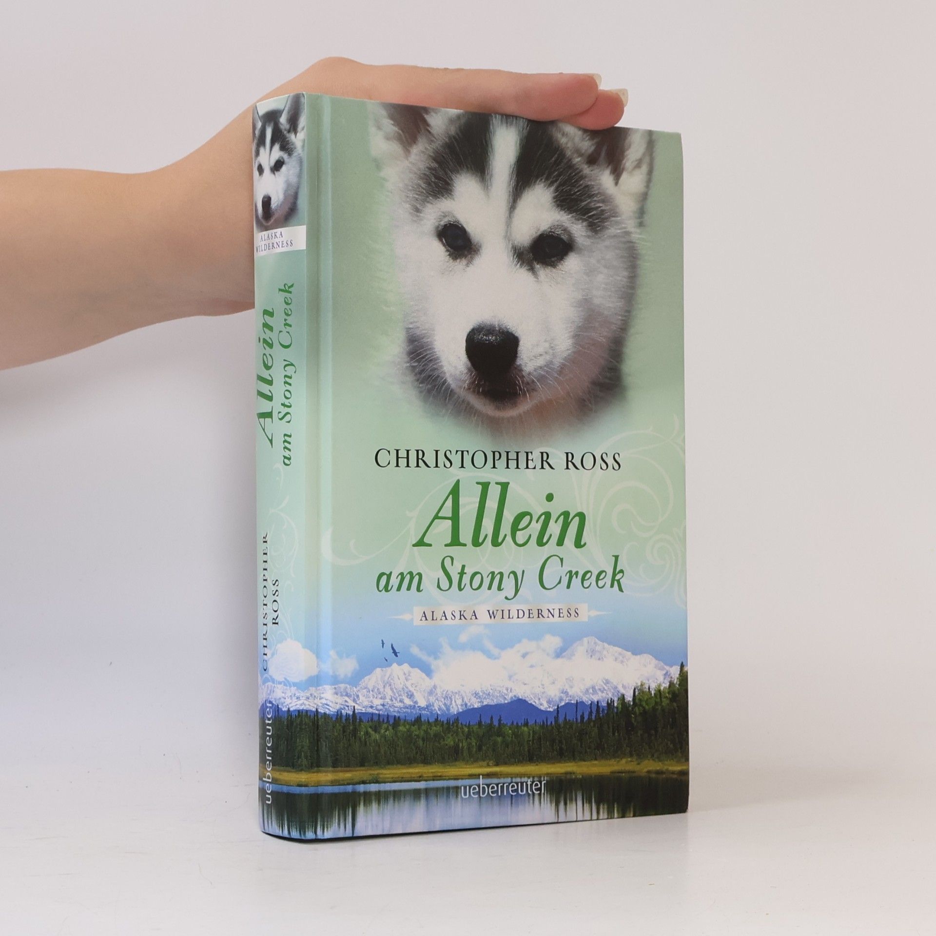 Christopher Ross Allein am Stony Creek