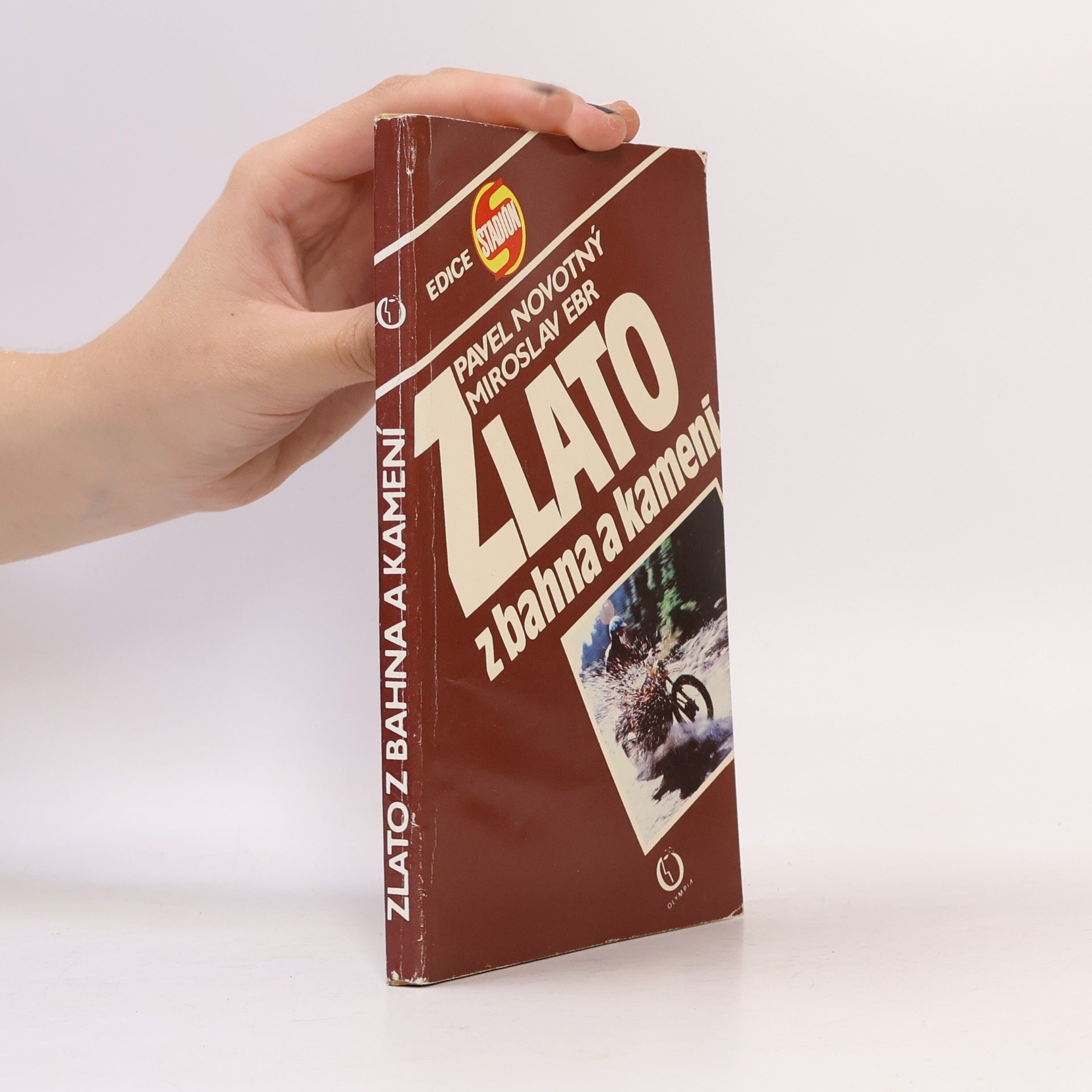 Miroslav Ebr Zlato z bahna a kamení