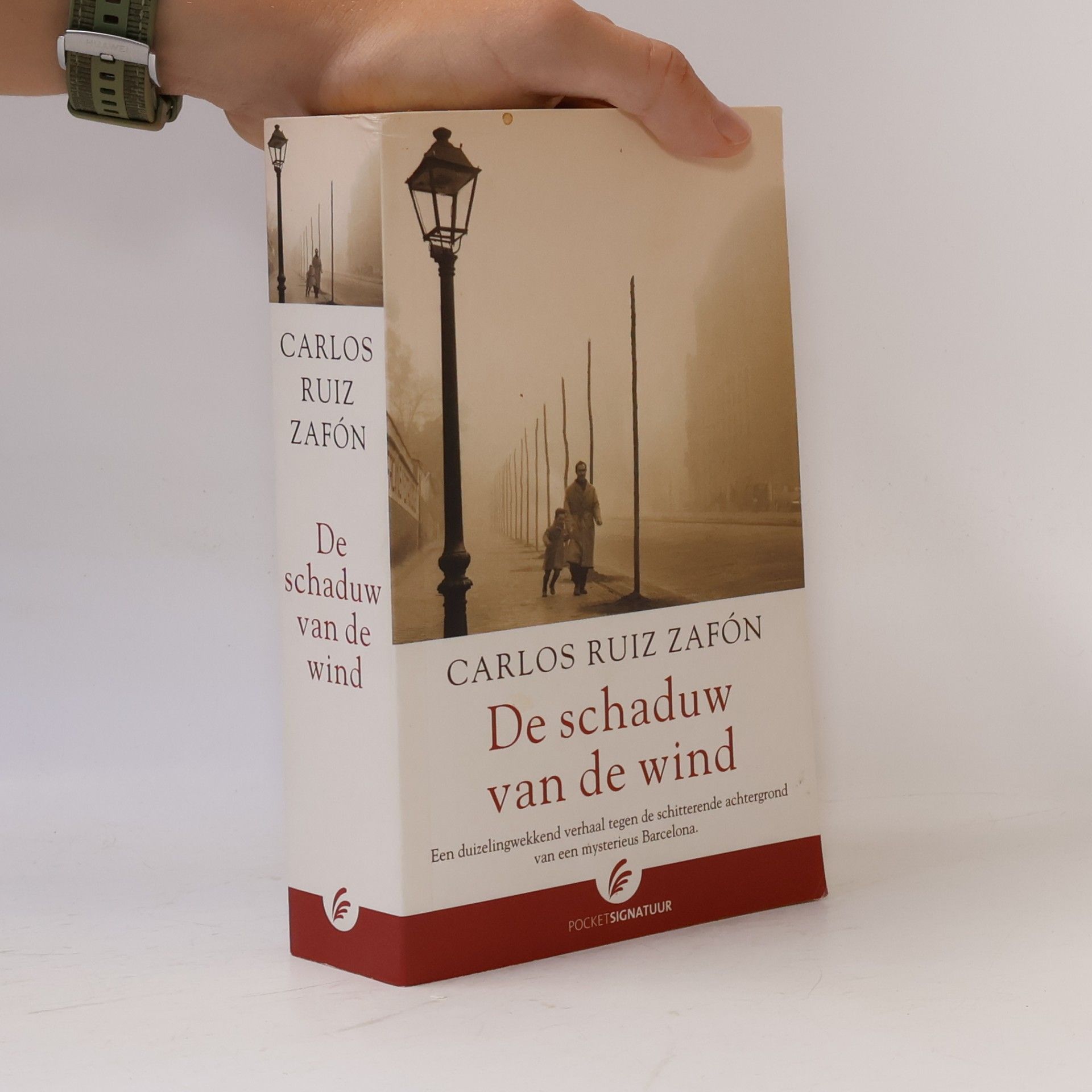 De schaduw van de wind