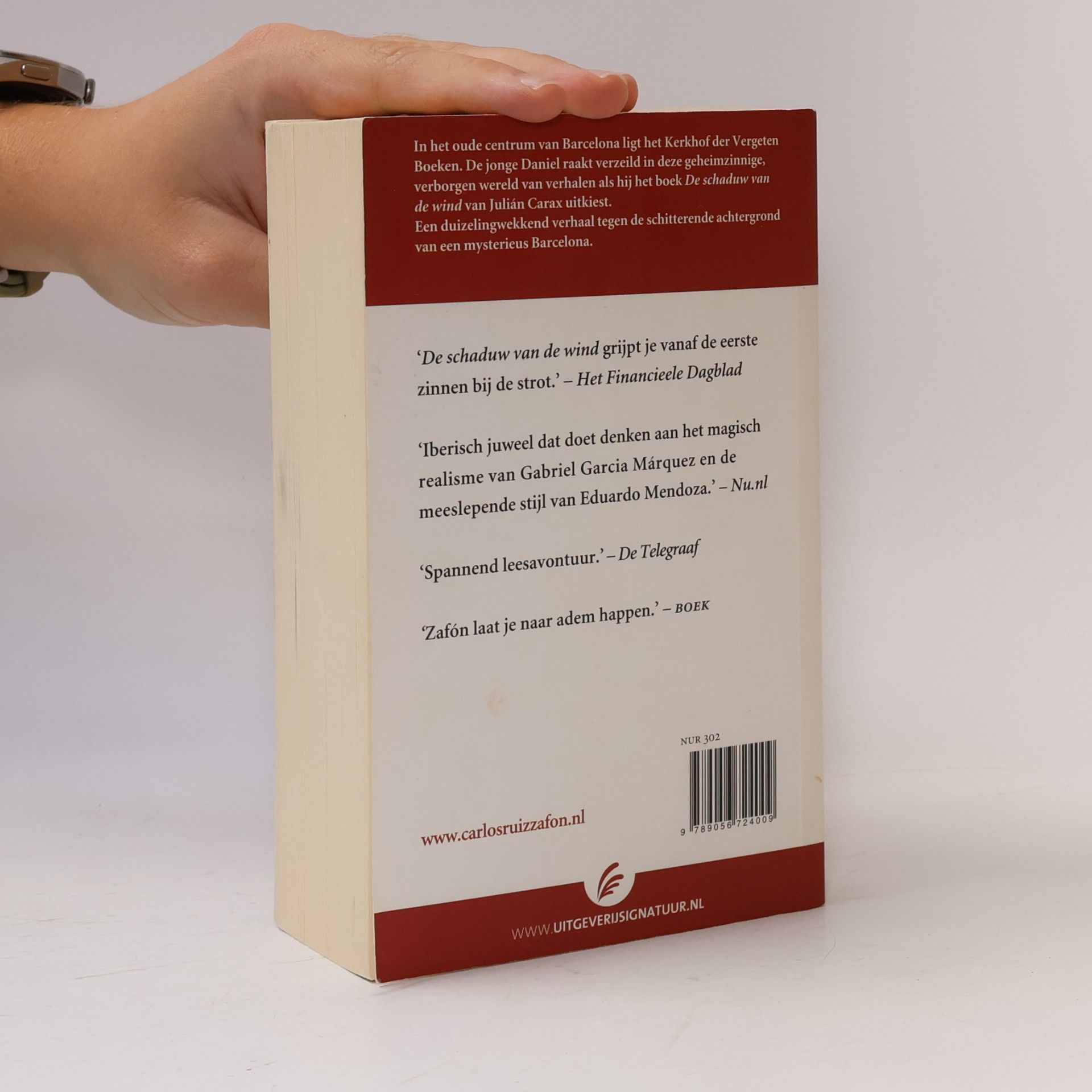 Carlos Ruiz Safon De schaduw van de wind