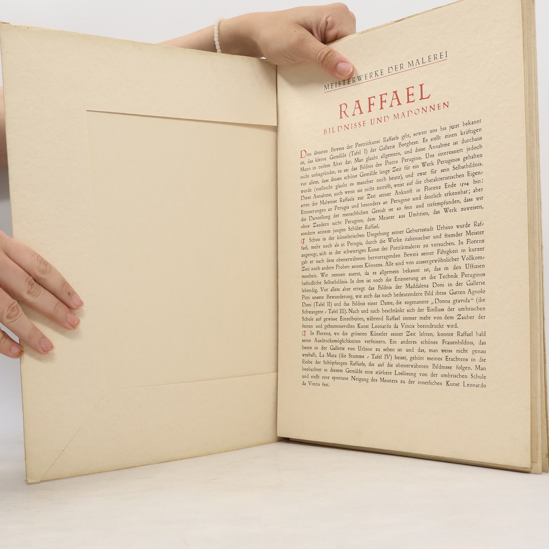 Autorenkollektiv Meisterwerke der Malerei: Raffael - Bildnisse und Madonnen
