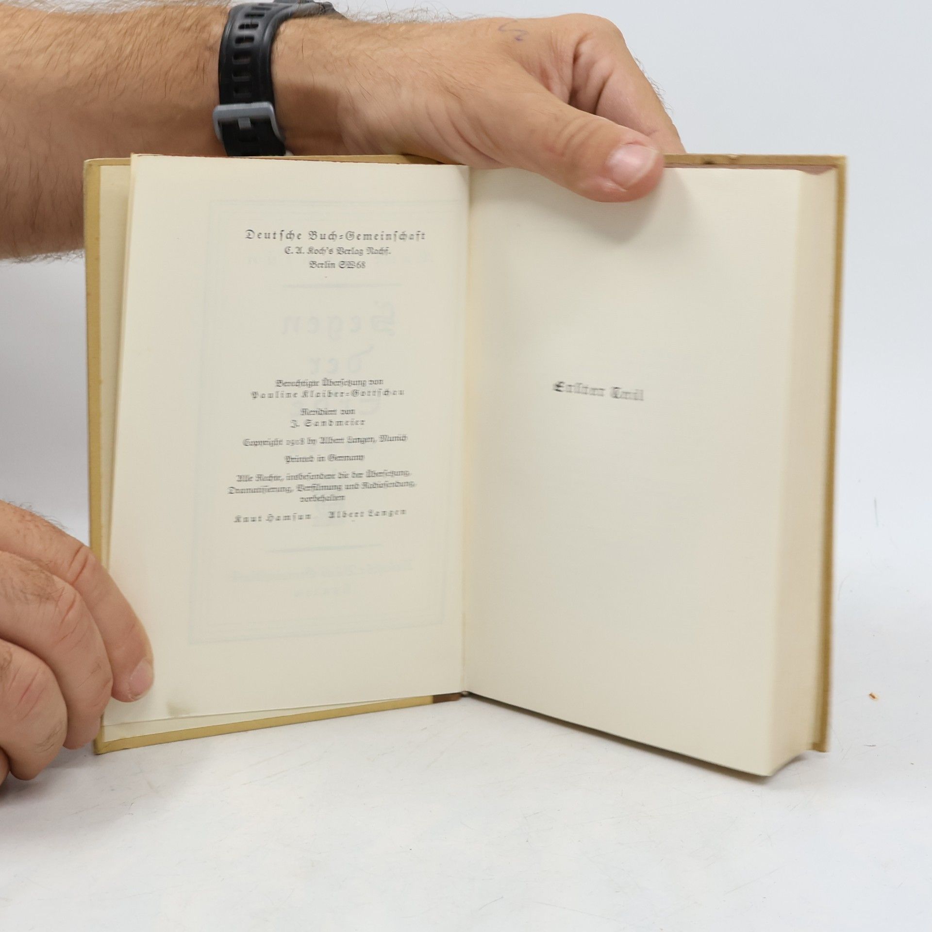 Knut Hamsun Segen der Erde